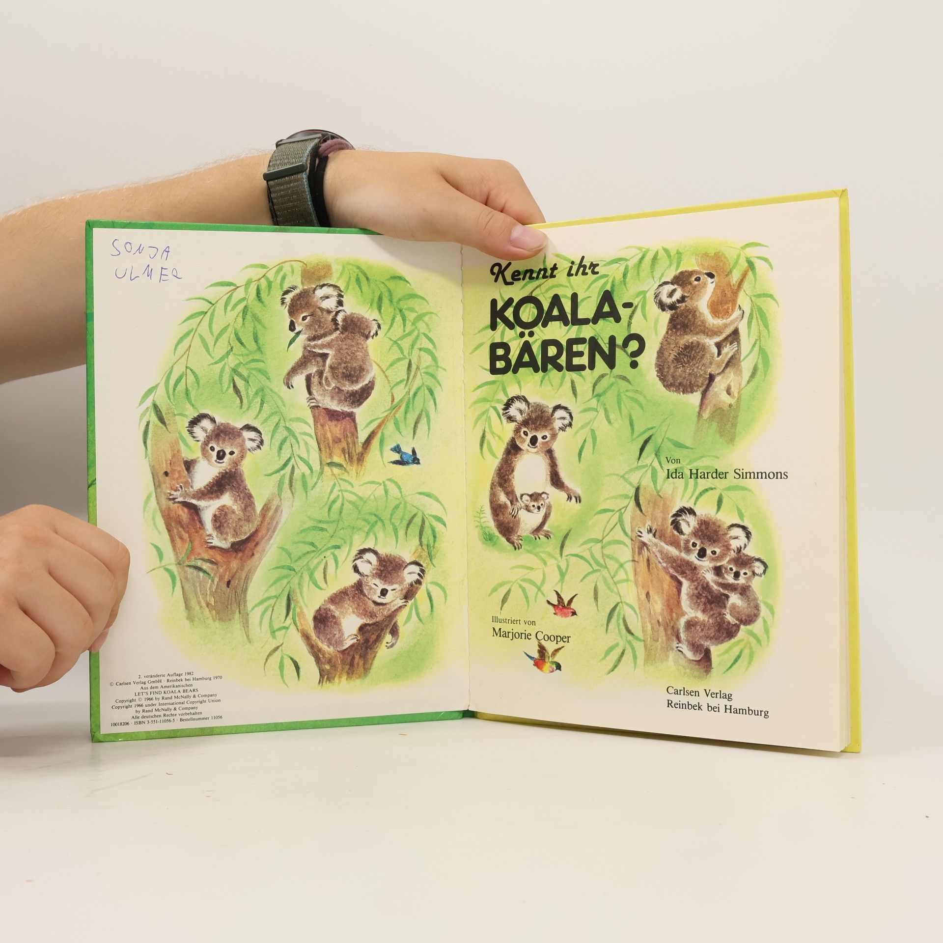 Ida Harder Simmons Ein Daxi-Buch - 56: Kennt ihr Koalabären?
