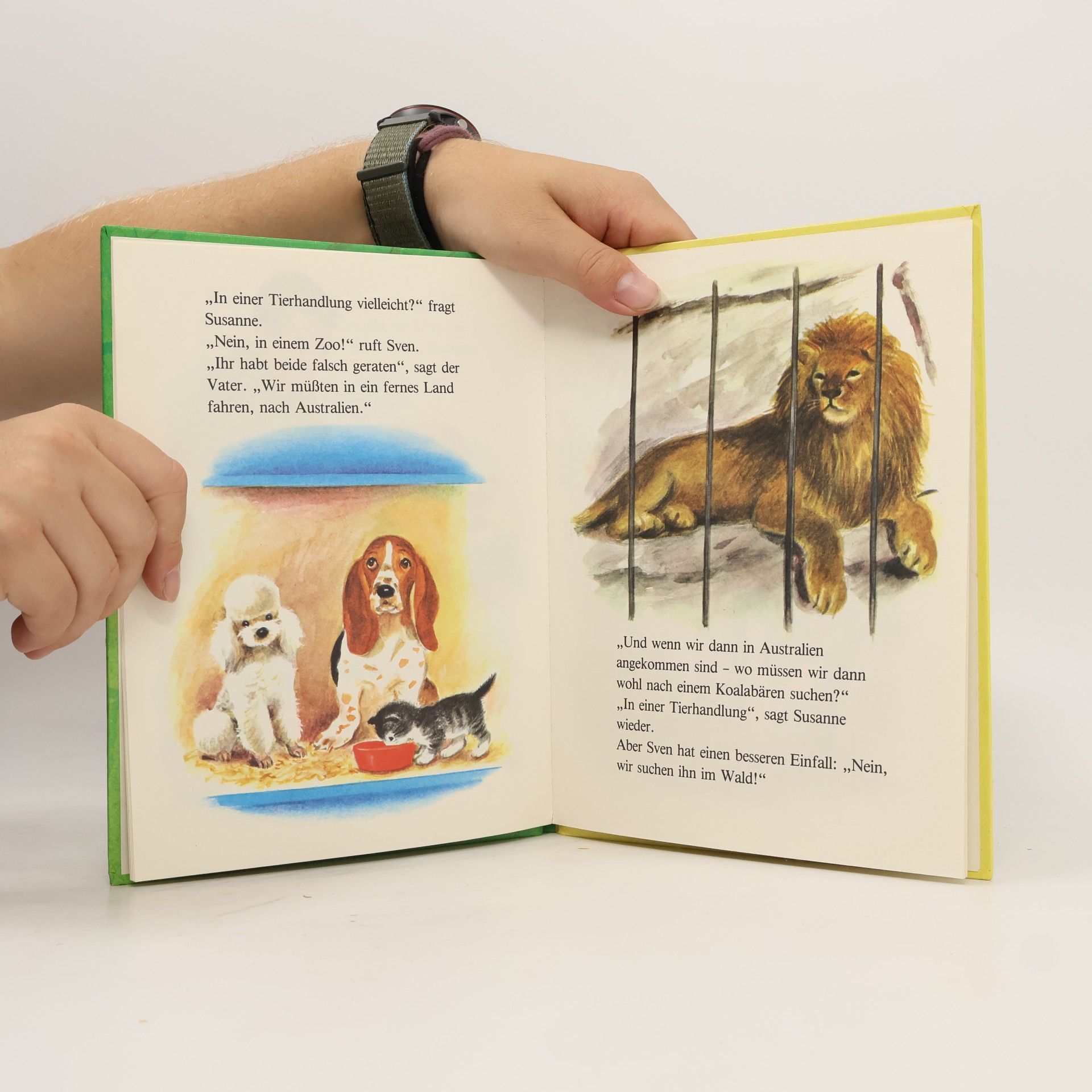 Ida Harder Simmons Ein Daxi-Buch - 56: Kennt ihr Koalabären?