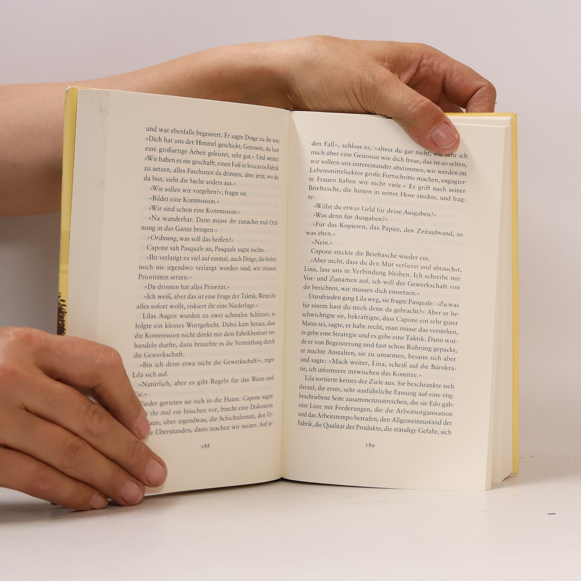 Elena Ferrante Die Geschichte Der Getrennten Wege : Erwachsenenjahre (Band III)