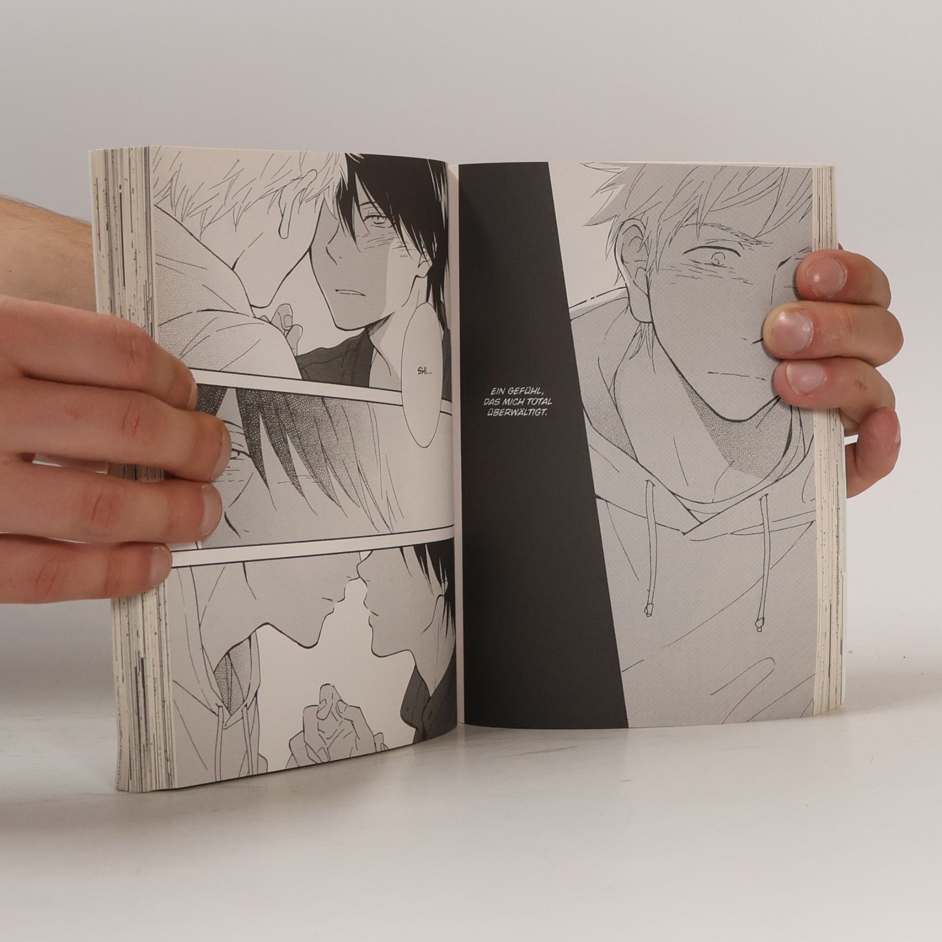Nagisa Furuya The two lions