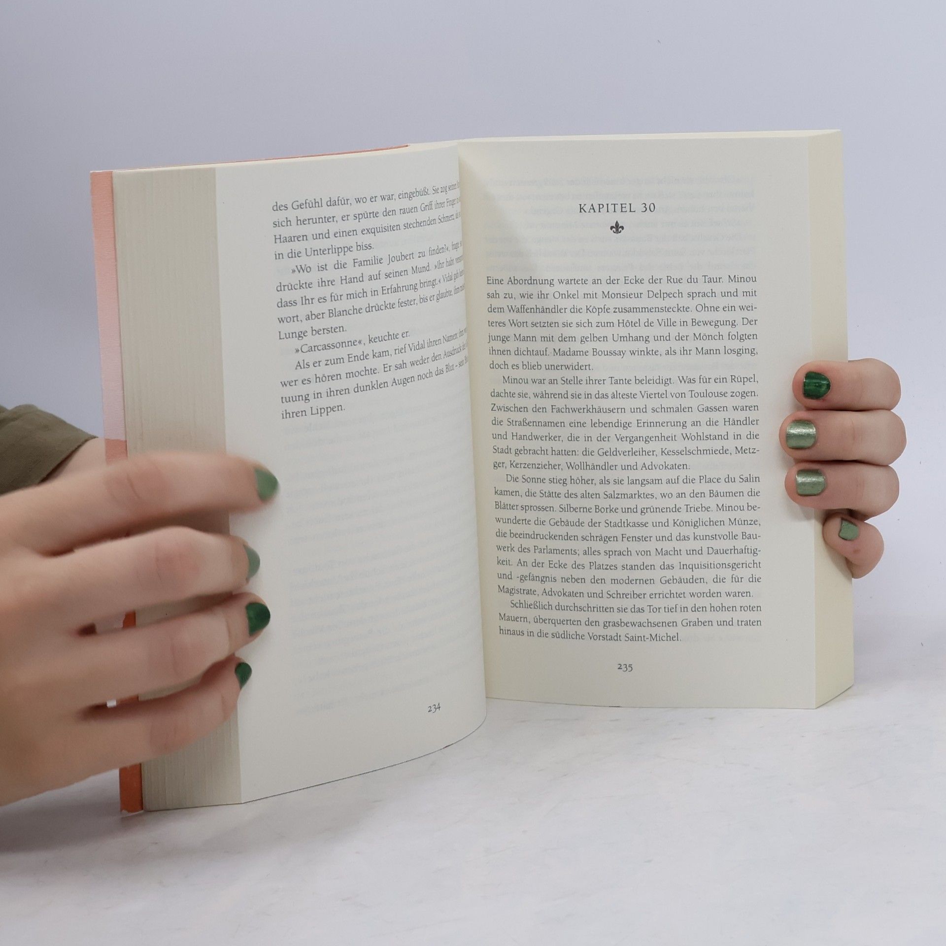 Kate Mosse Die brennenden Kammern