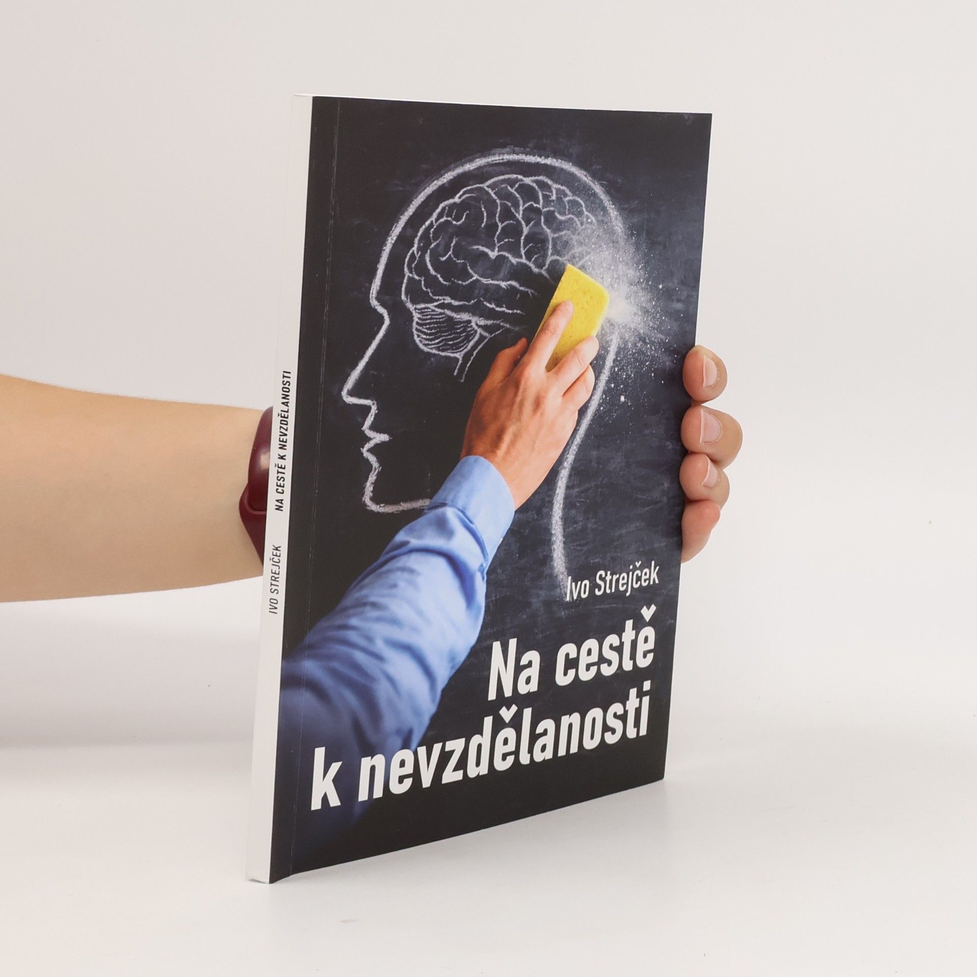 Ivo Strejček Na cestě k nevzdělanosti