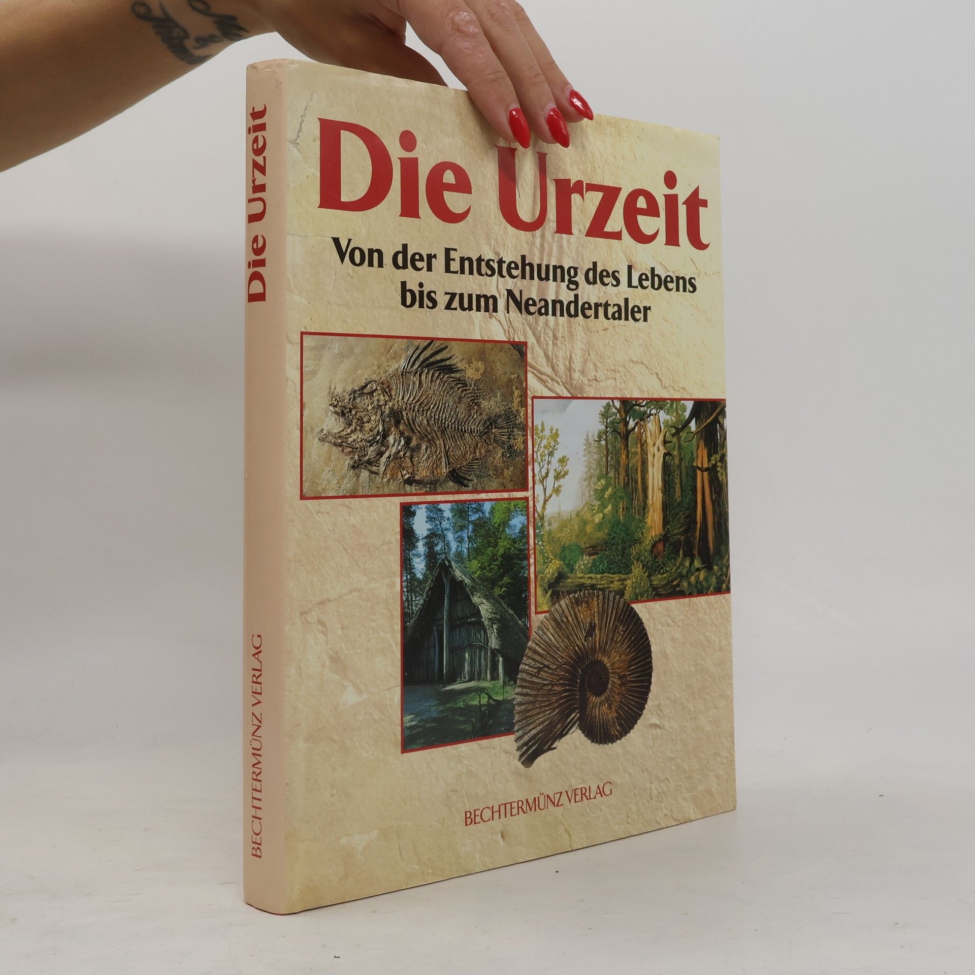 Autorenkollektiv Die Urzeit