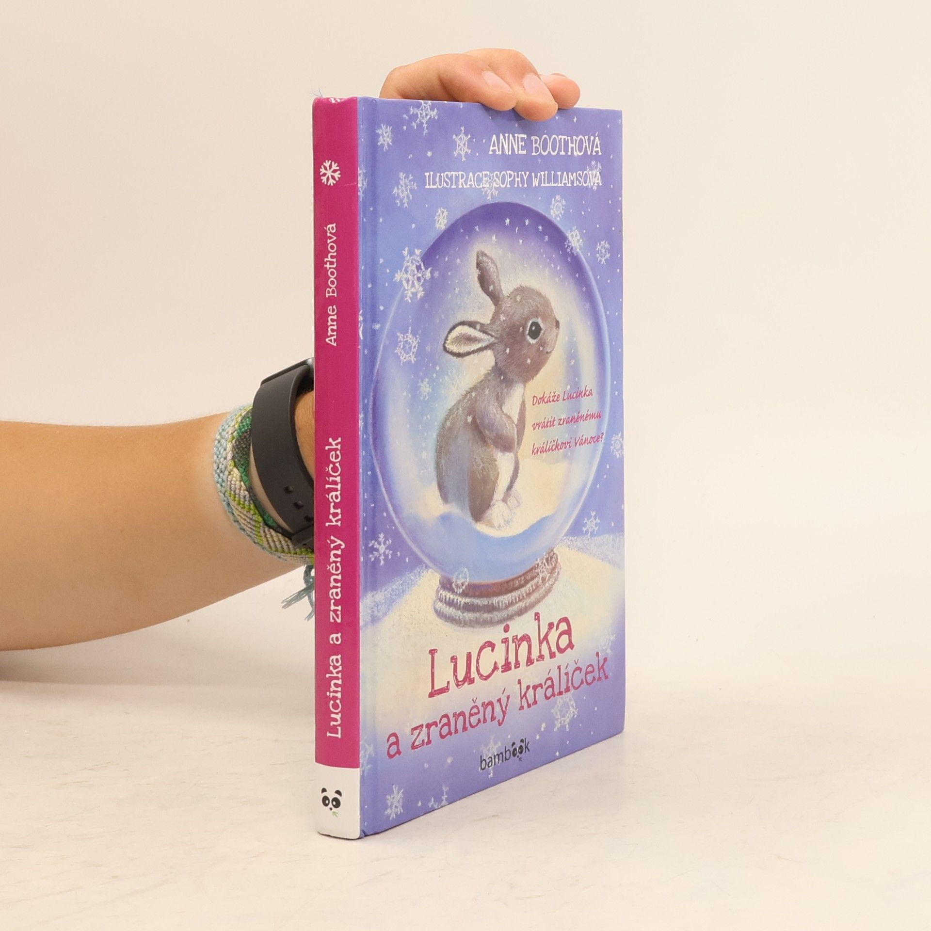 Anne Booth Lucinka a zraněný králíček