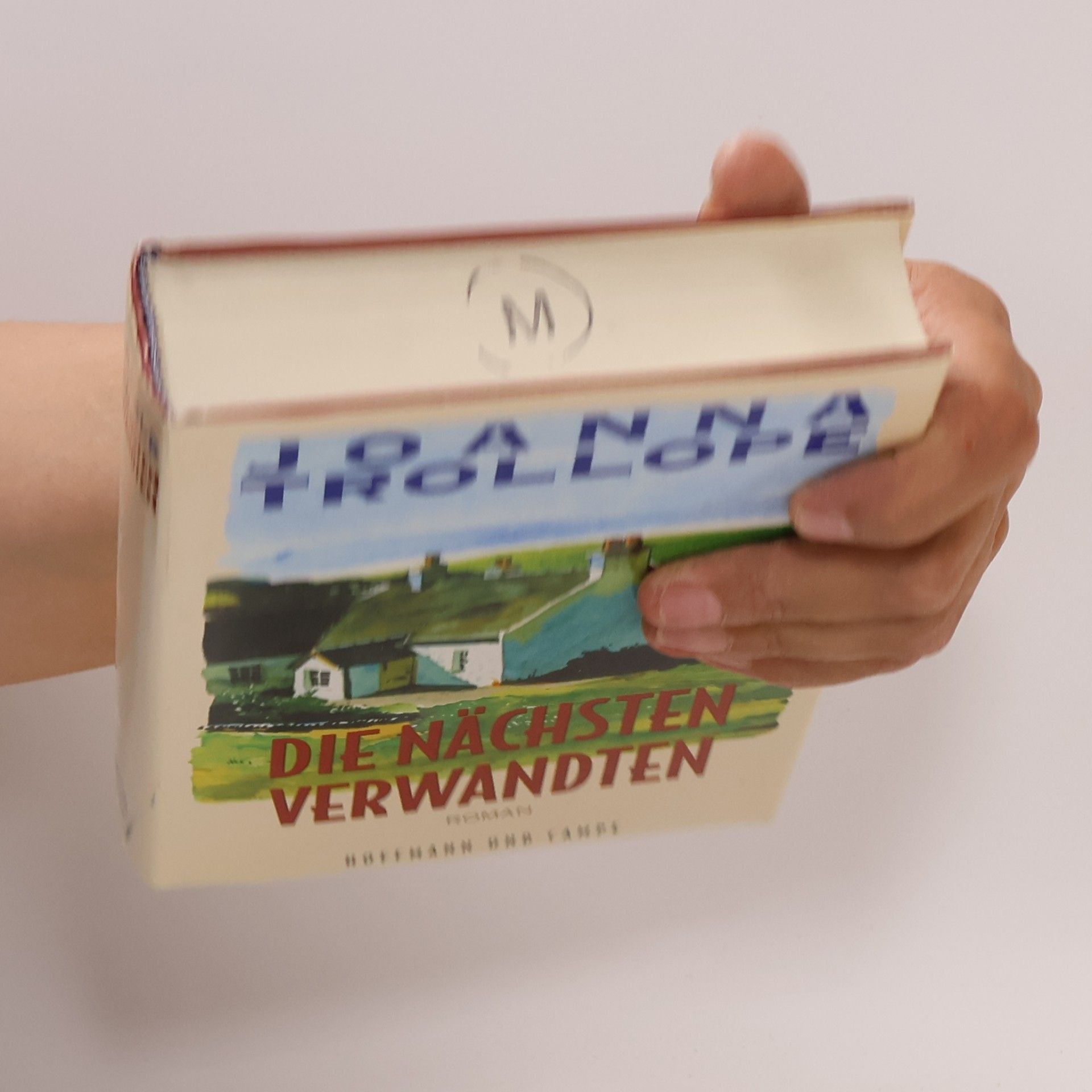 Joanna Trollope Die nächsten Verwandten