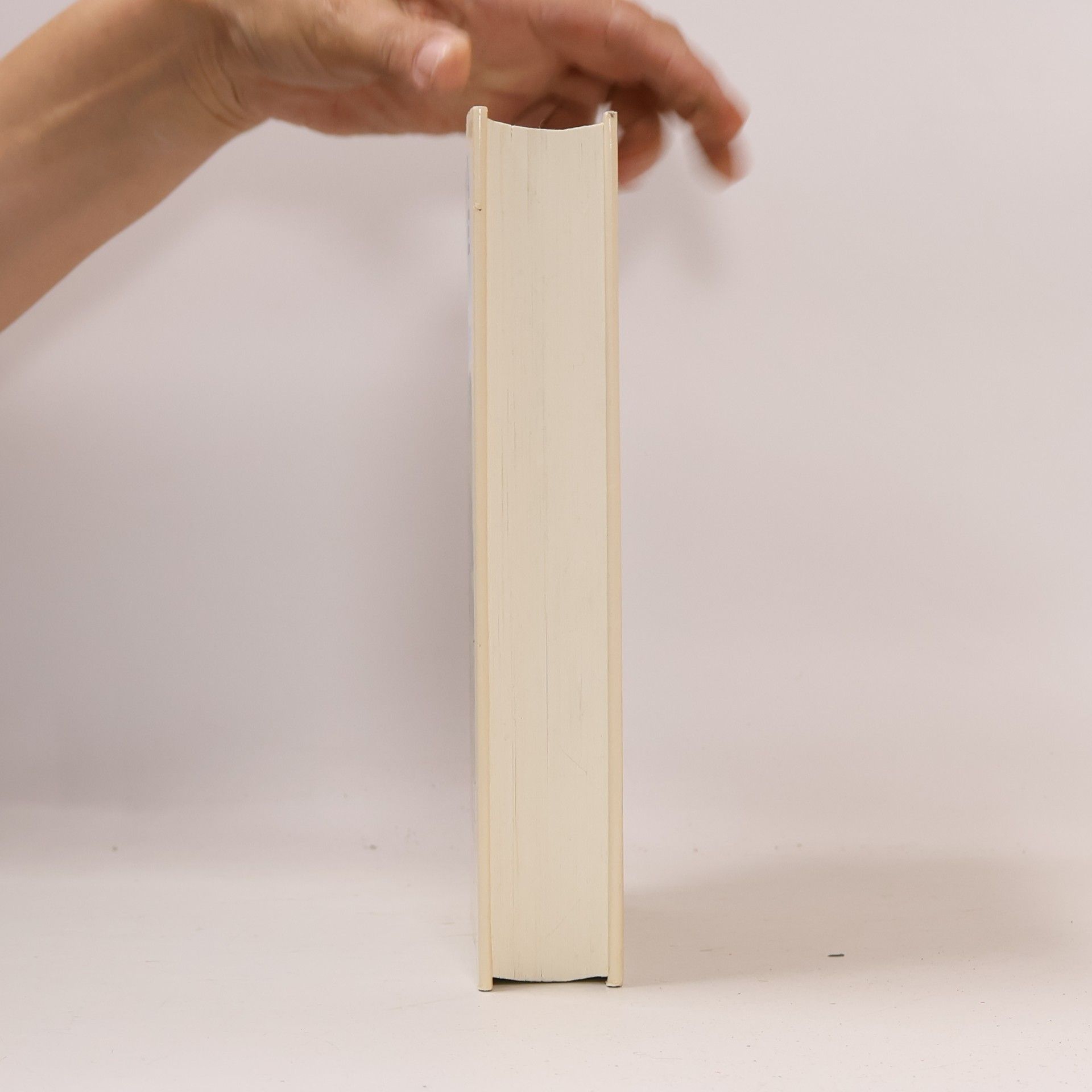 Joanna Trollope Die nächsten Verwandten