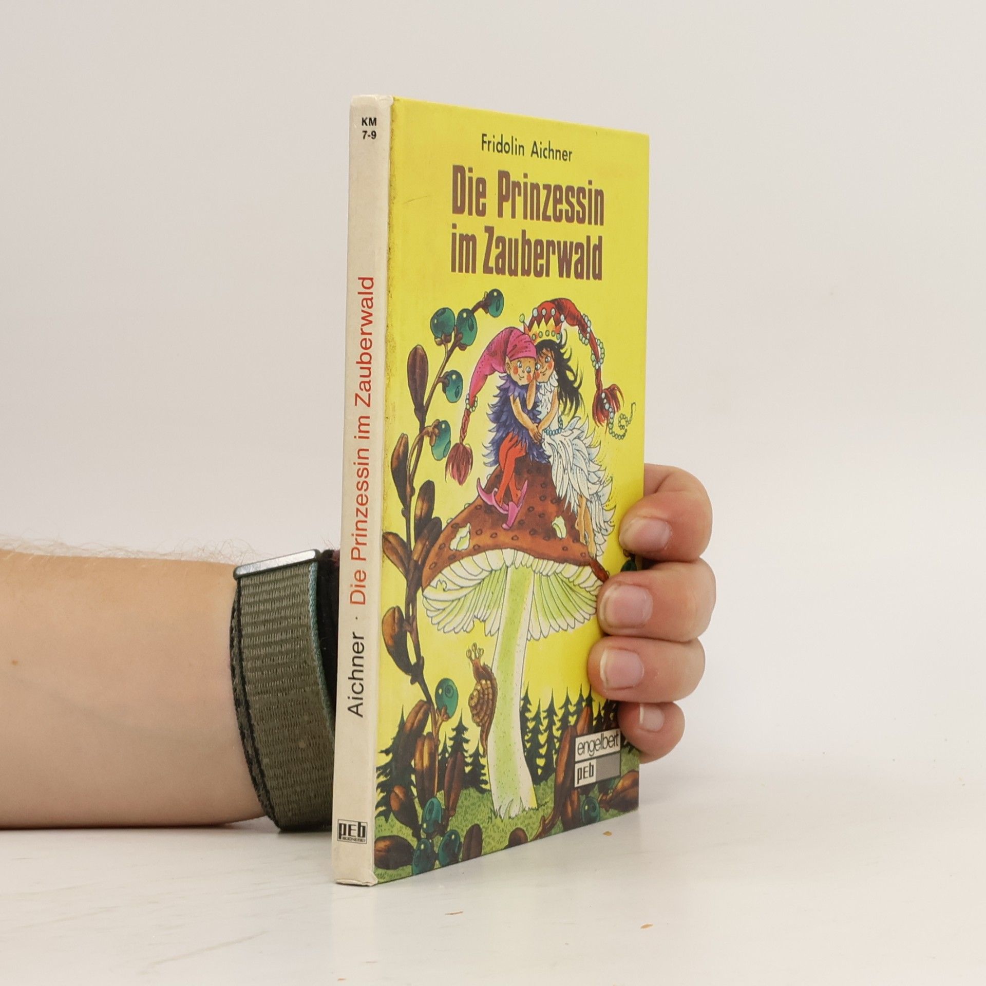 Fridolin Aichner Die Prinzessin im Zauberwald