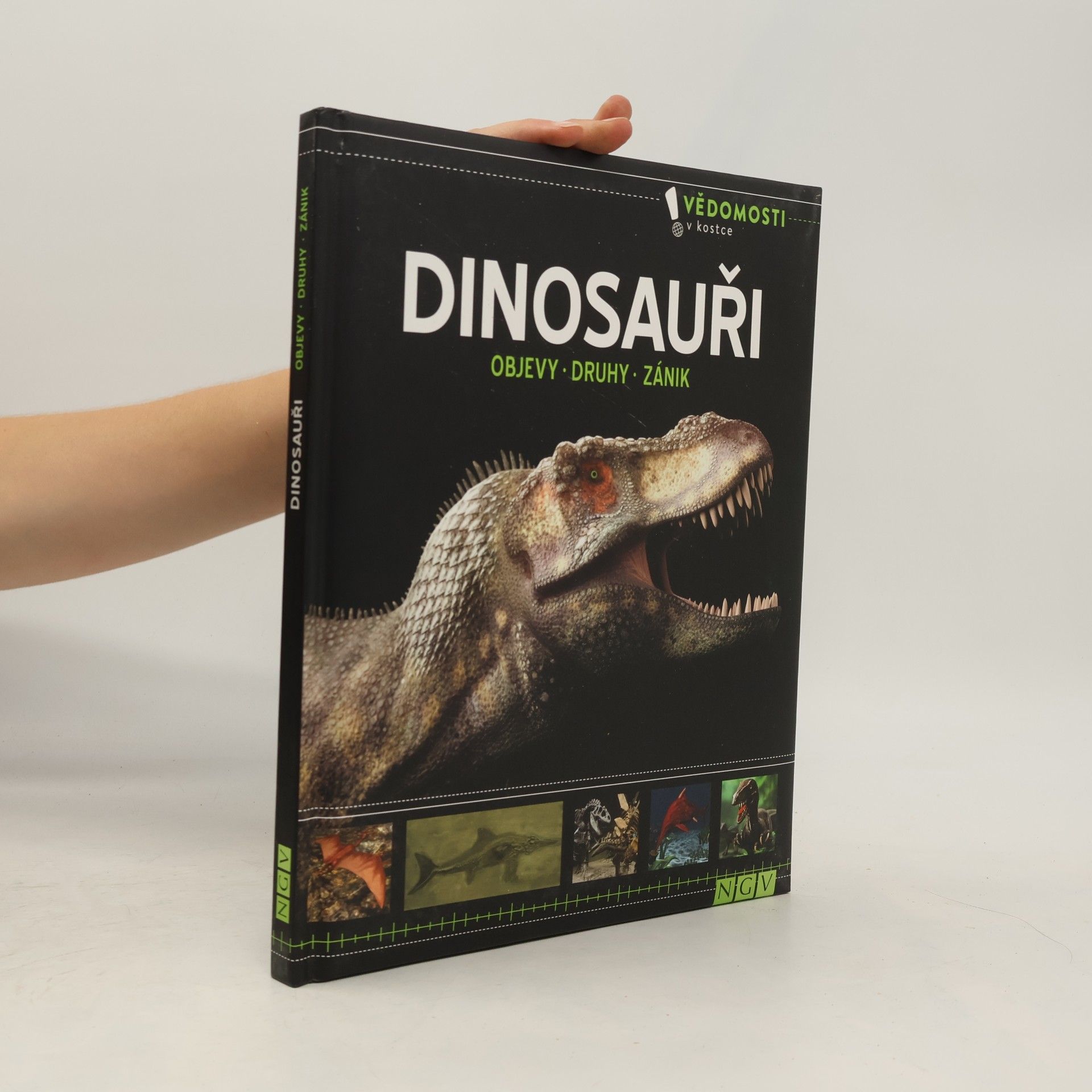 Autorenkollektiv Dinosauři