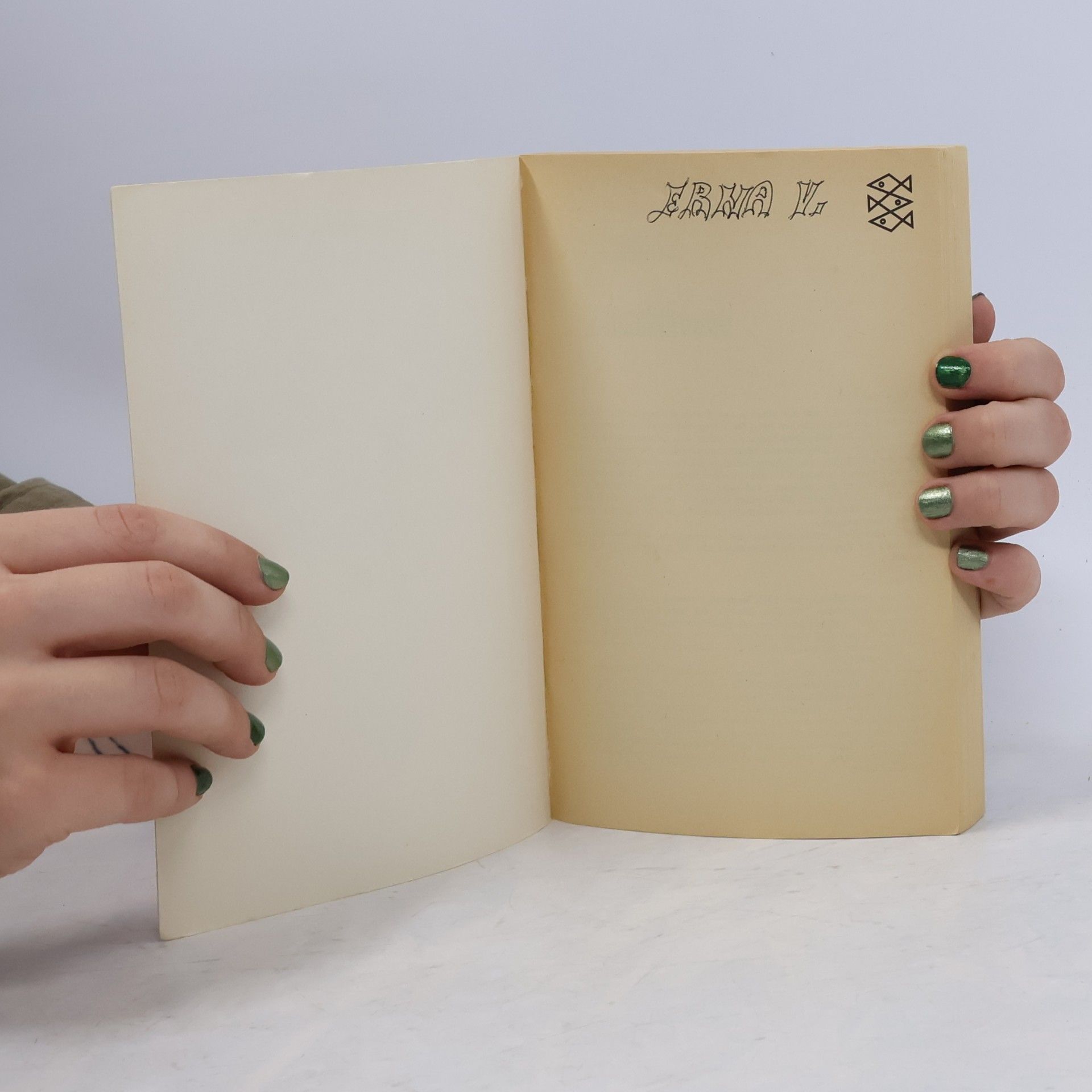 Wolfgang Schmidbauer Handbuch der Rauschdrogen
