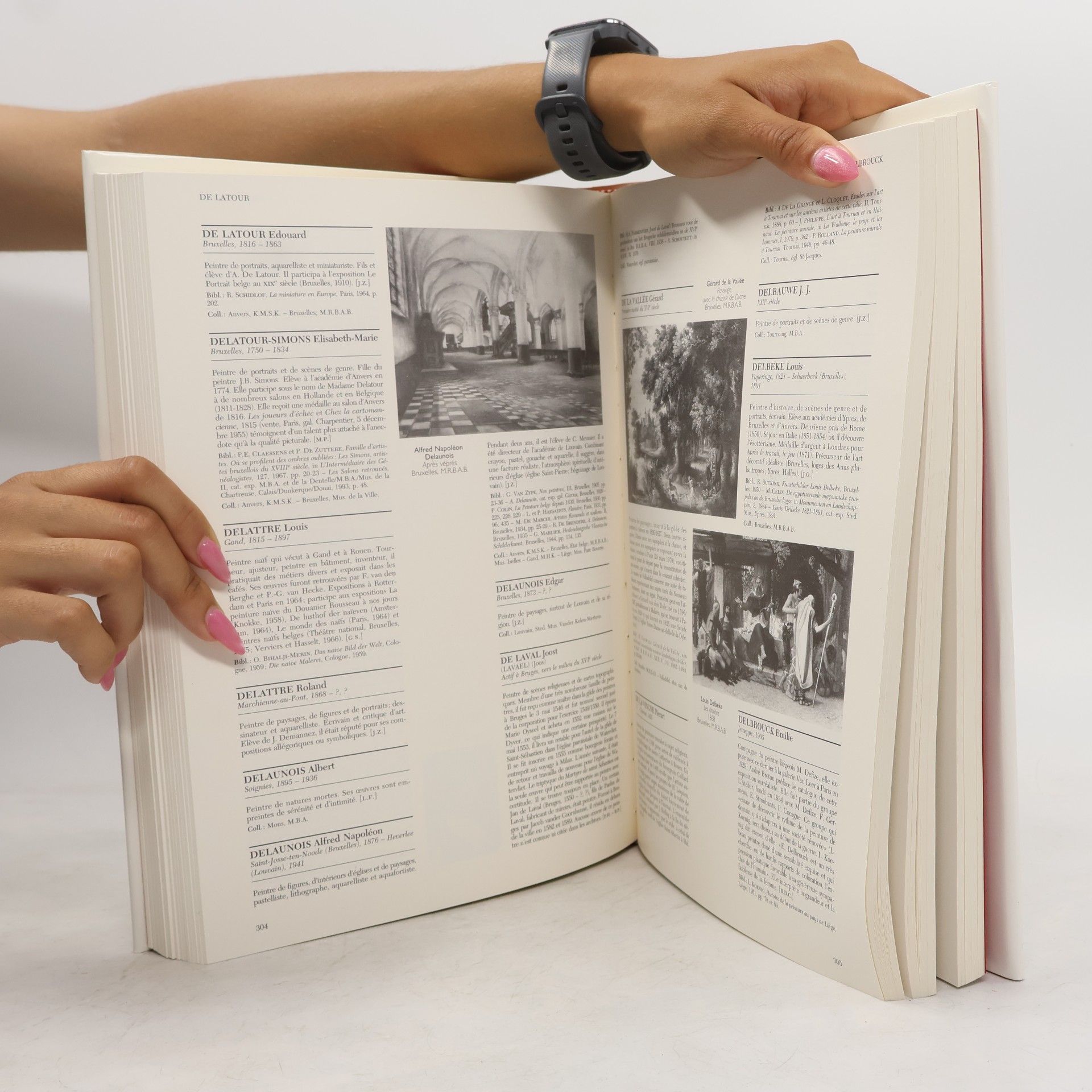 Autorenkollektiv Le Dictionnaire des peintres belges du XIVe siècle à nos jours