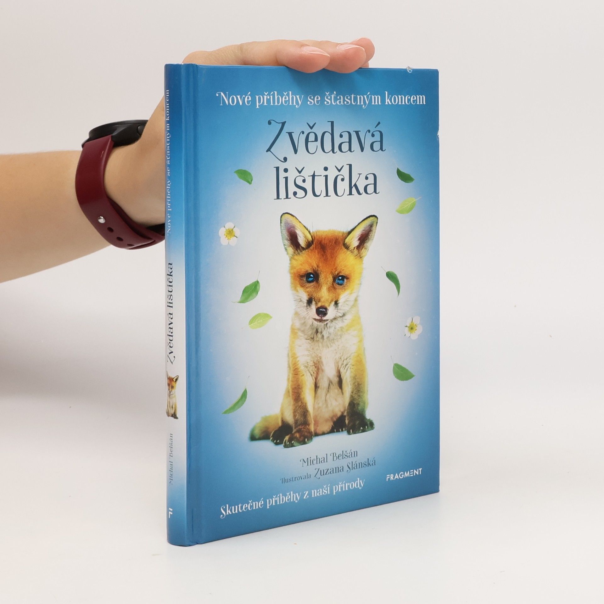 Michal Belšán Zvědavá lištička