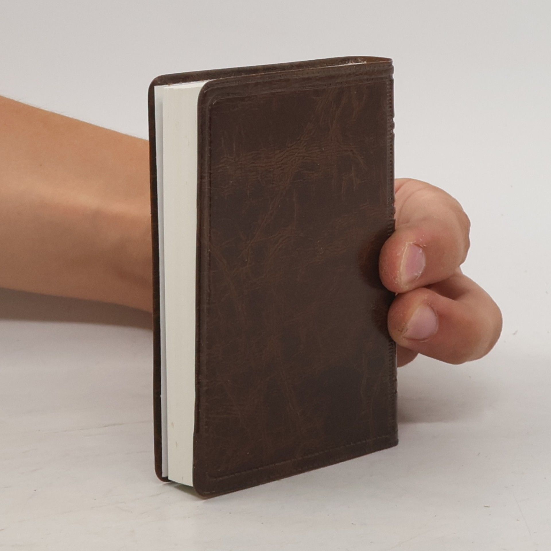 Martin Luther Neues Testament. Psalmen Sprüche