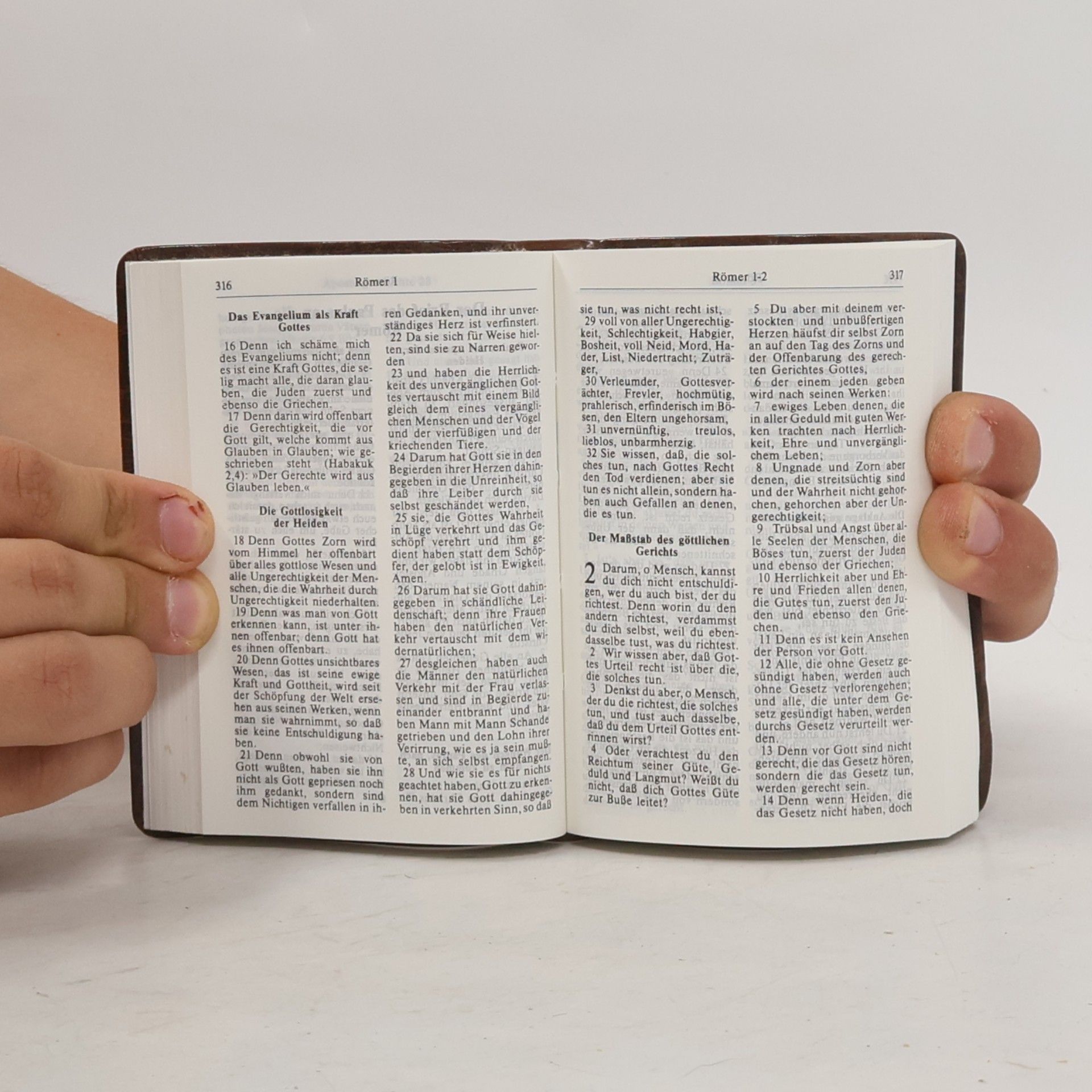Martin Luther Neues Testament. Psalmen Sprüche