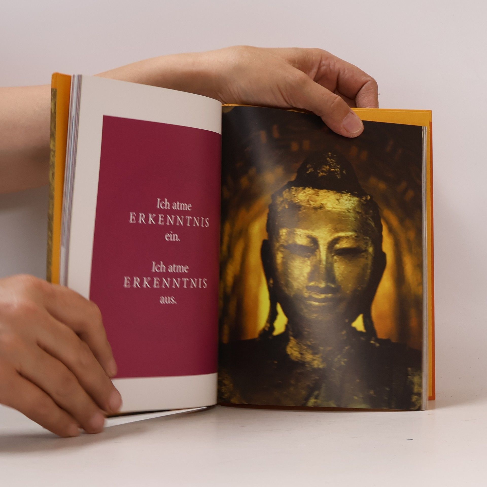 Anton Pichler Die 7-Minuten-Buddha-Meditation