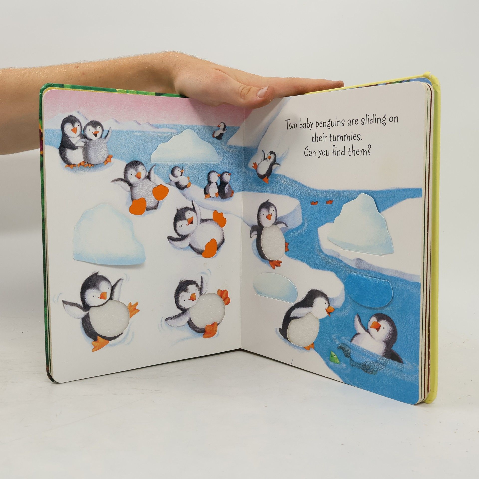 Fiona Watt Hide and Seek Baby Animals