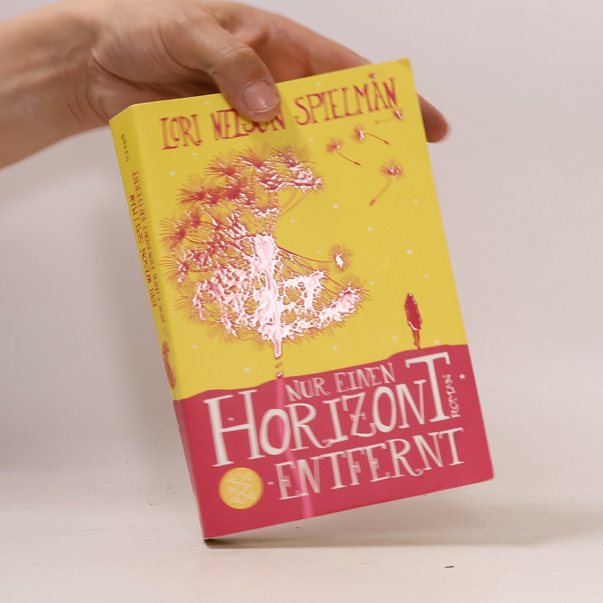 Lori Nelson Spielman Nur einen Horizont entfernt