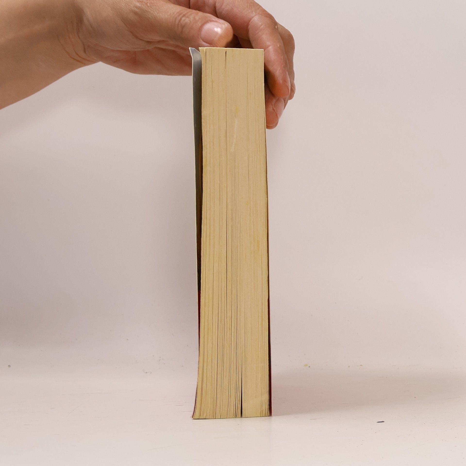 Lori Nelson Spielman Nur einen Horizont entfernt