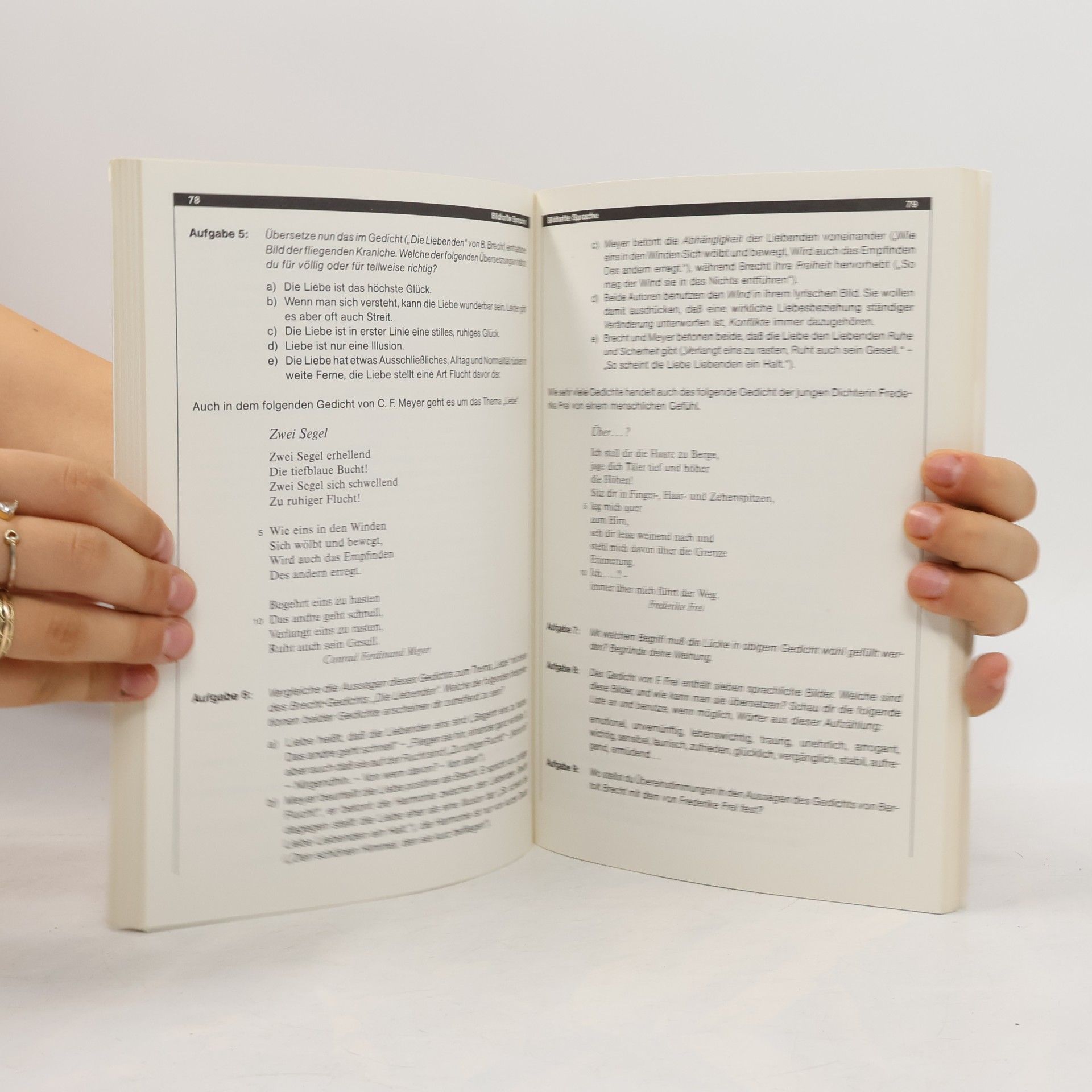 Renate Brückner Training Aufsatz - Analyse und Interpretation literarischer Texte