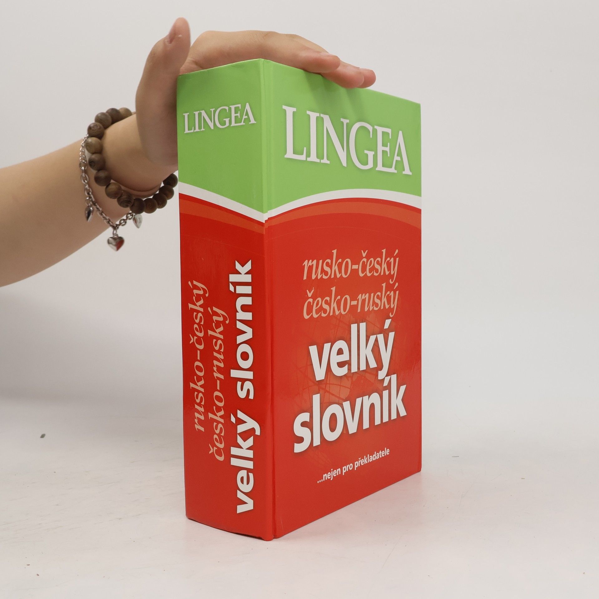 Autorenkollektiv Rusko-český, česko-ruský velký slovník