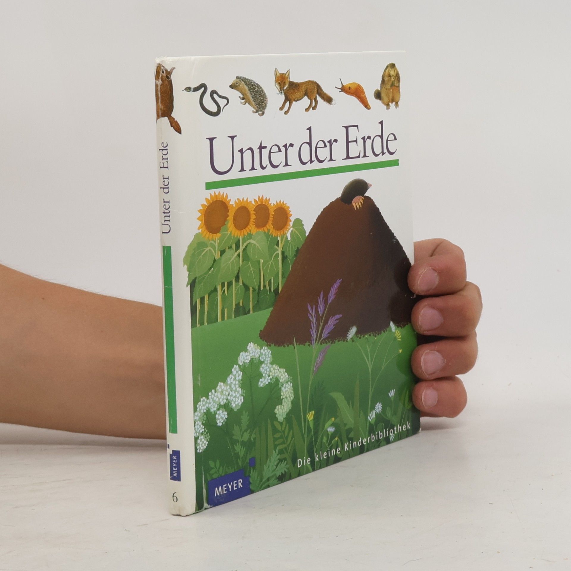 Unter der Erde