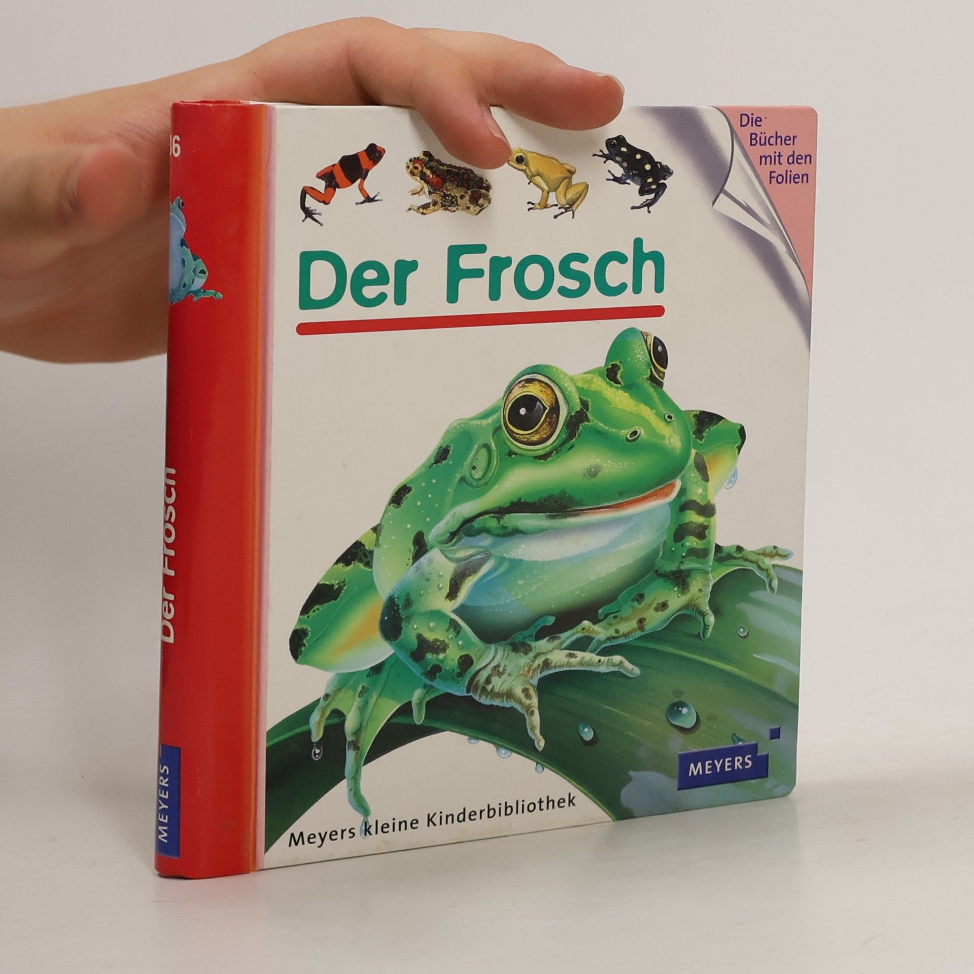 Daniel Moignot Der Frosch