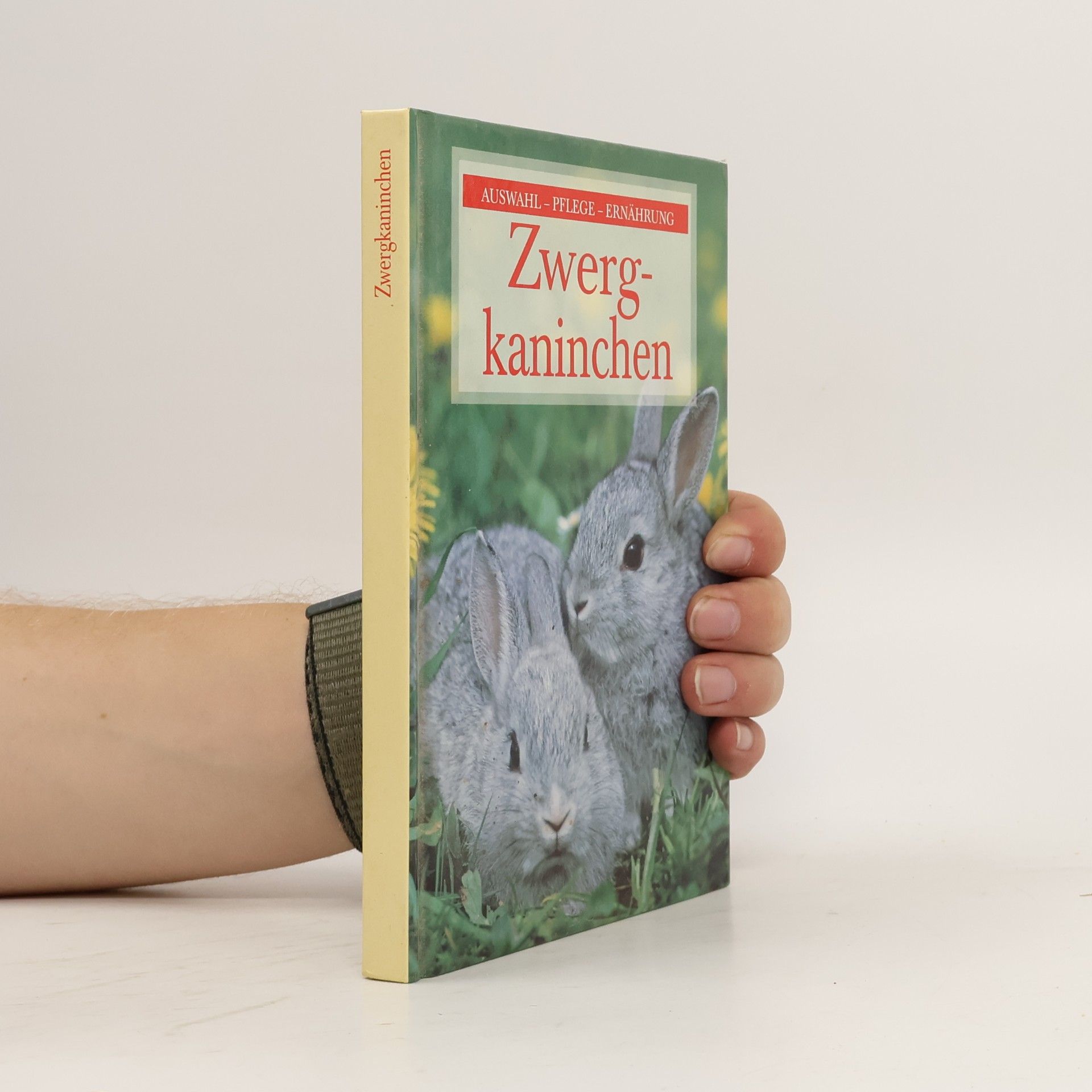 Michael Mettler Zwerg-kaninchen