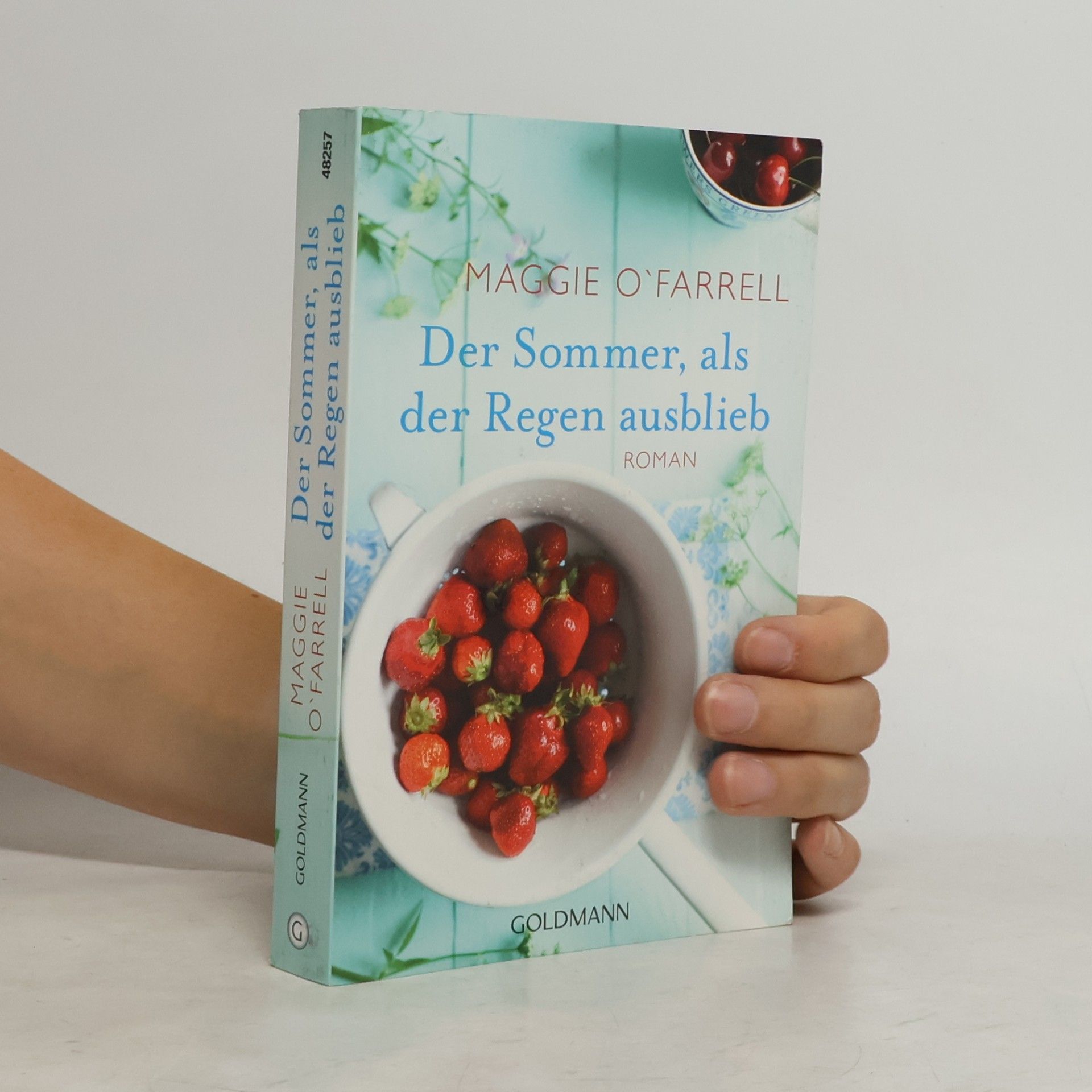 Maggie O. Farrell Der Sommer, als der Regen ausblieb