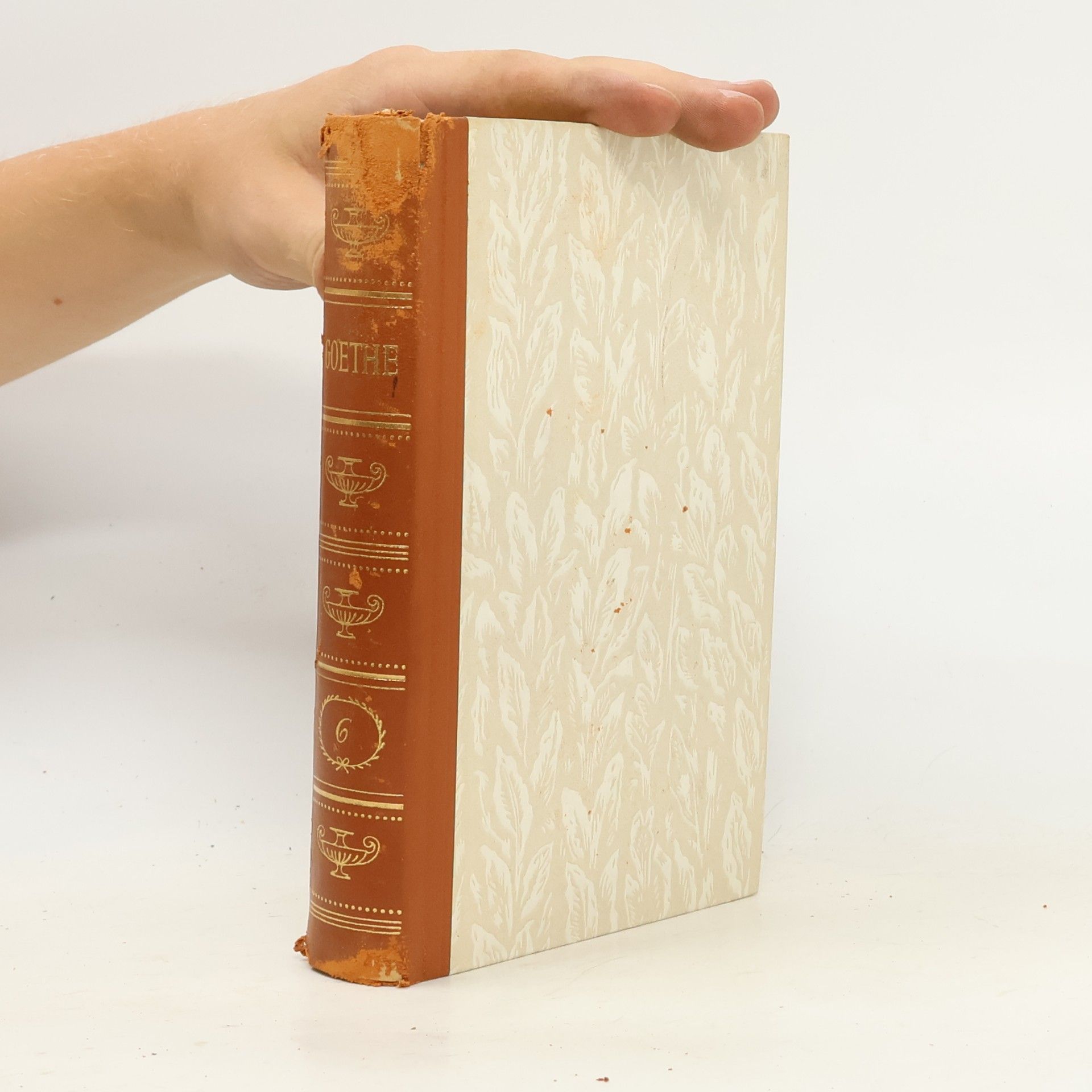 Johann Wolfgang von Goethe Gesammelte Werke 6