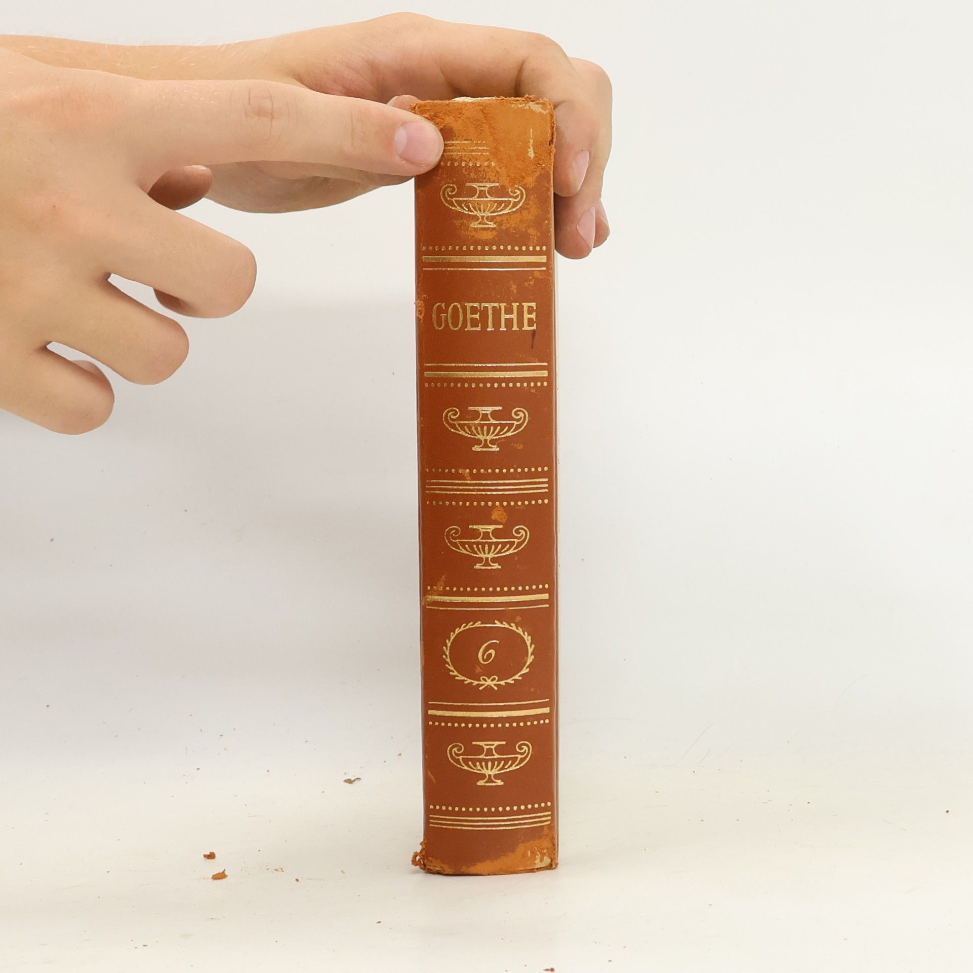 Johann Wolfgang von Goethe Gesammelte Werke 6