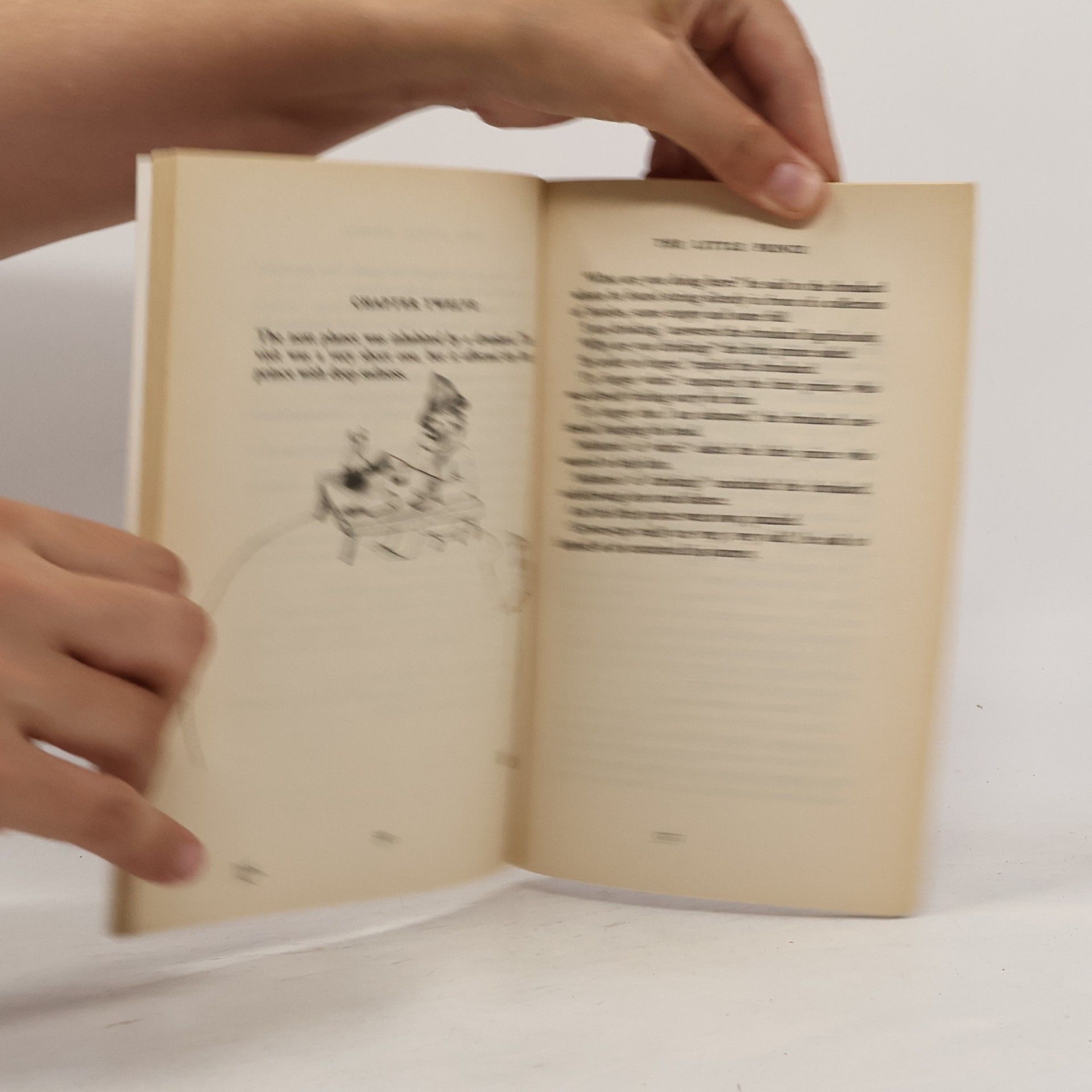Antoine de Saint-Exupéry The Little Prince
