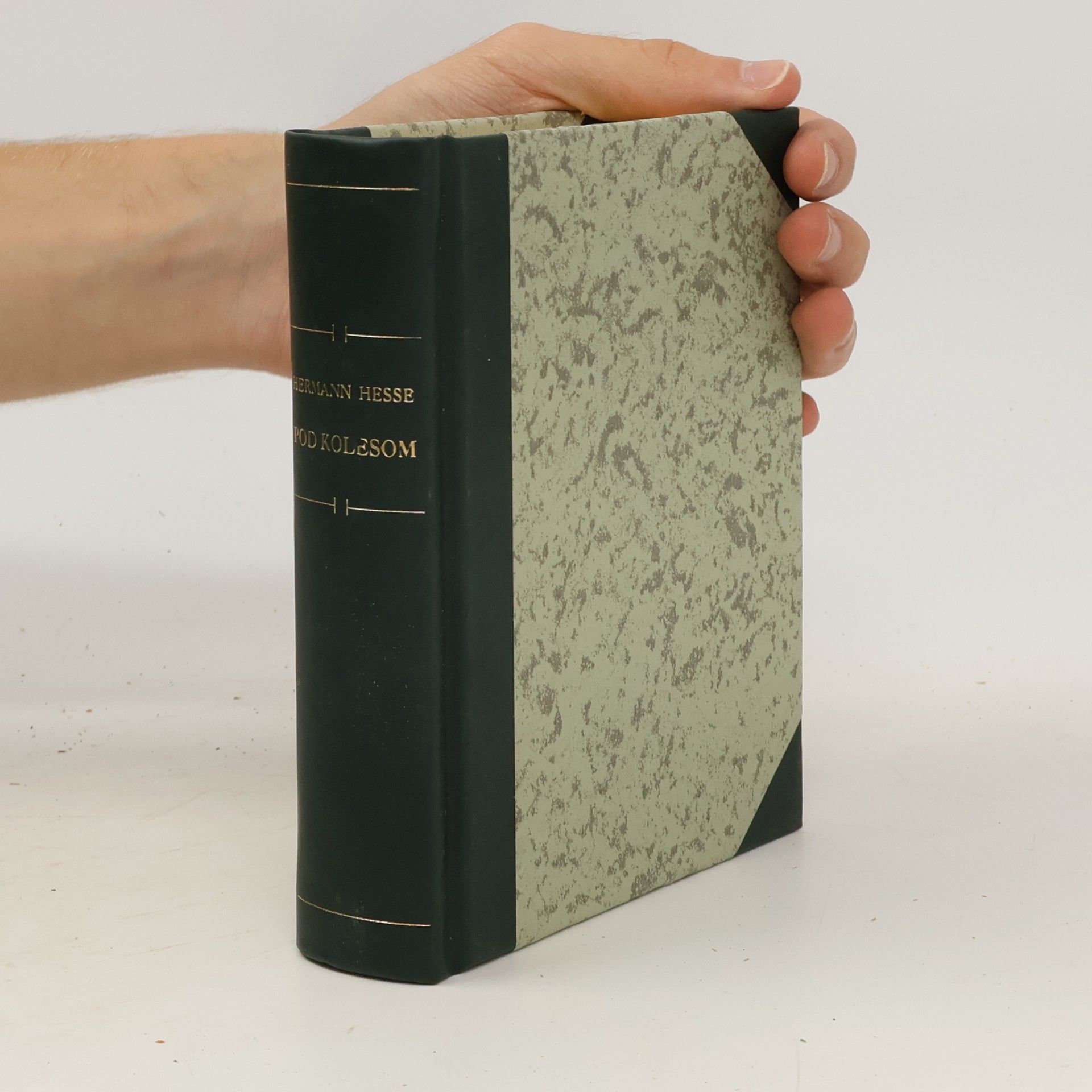 Hermann Hesse Pod kolesom