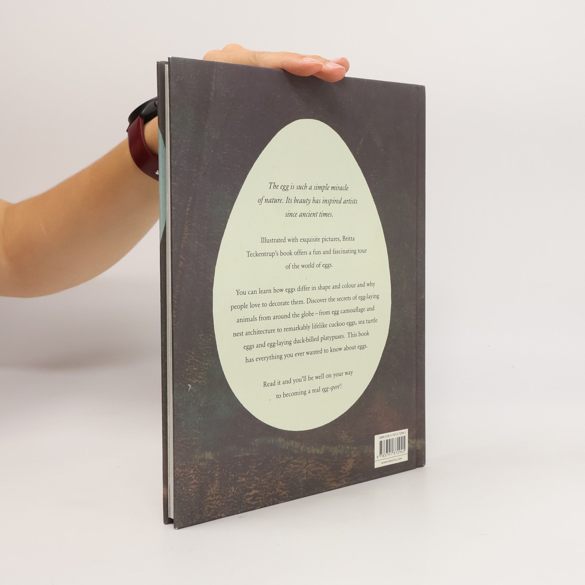 Britta Teckentrup The Egg