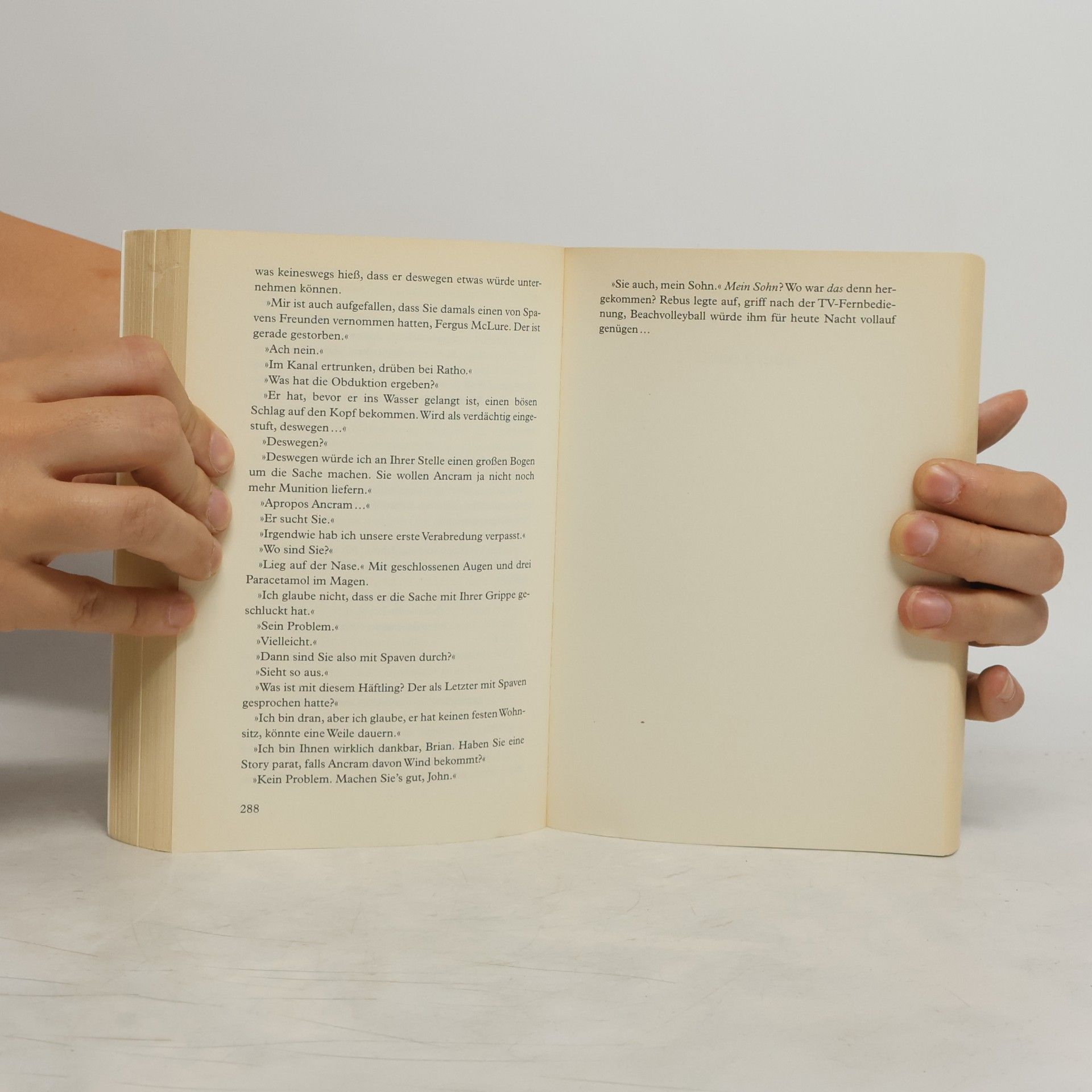 Ian Rankin Das Souvenir des Mörders