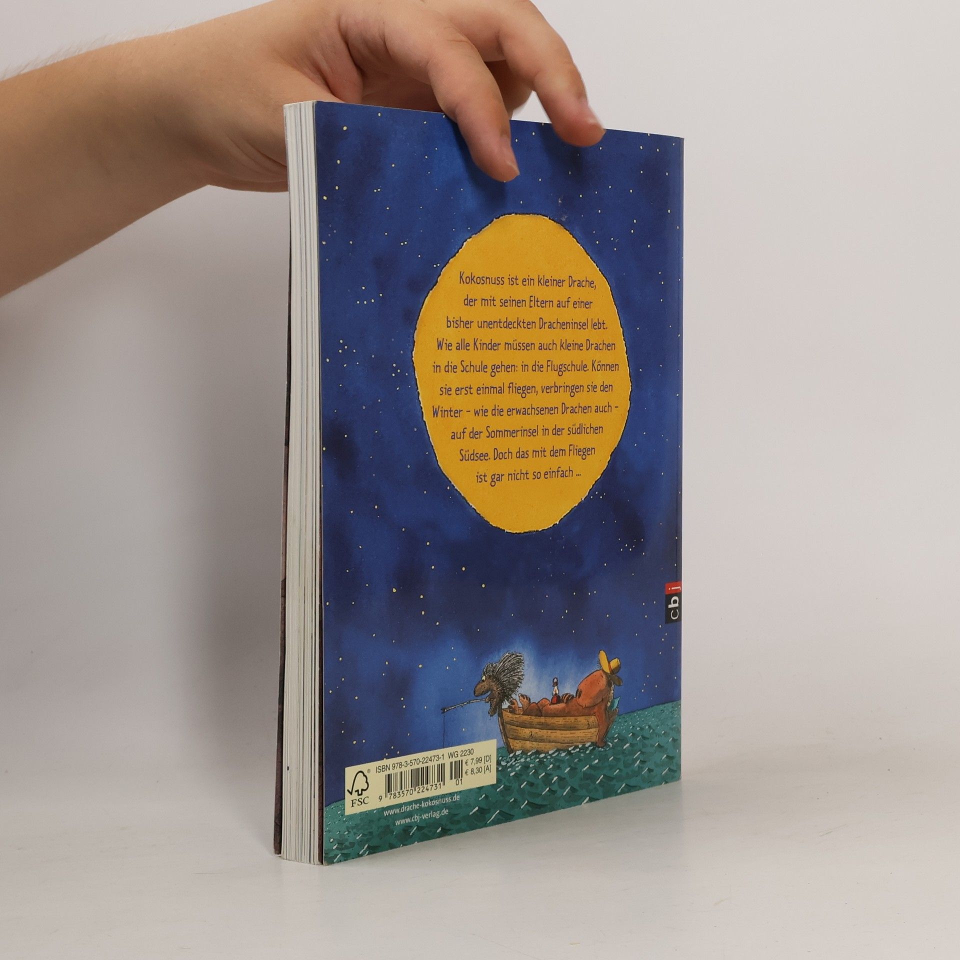 Ingo Seigner Der kleine Drache Kokosnuss - ein Vorlese-Bilderbuch