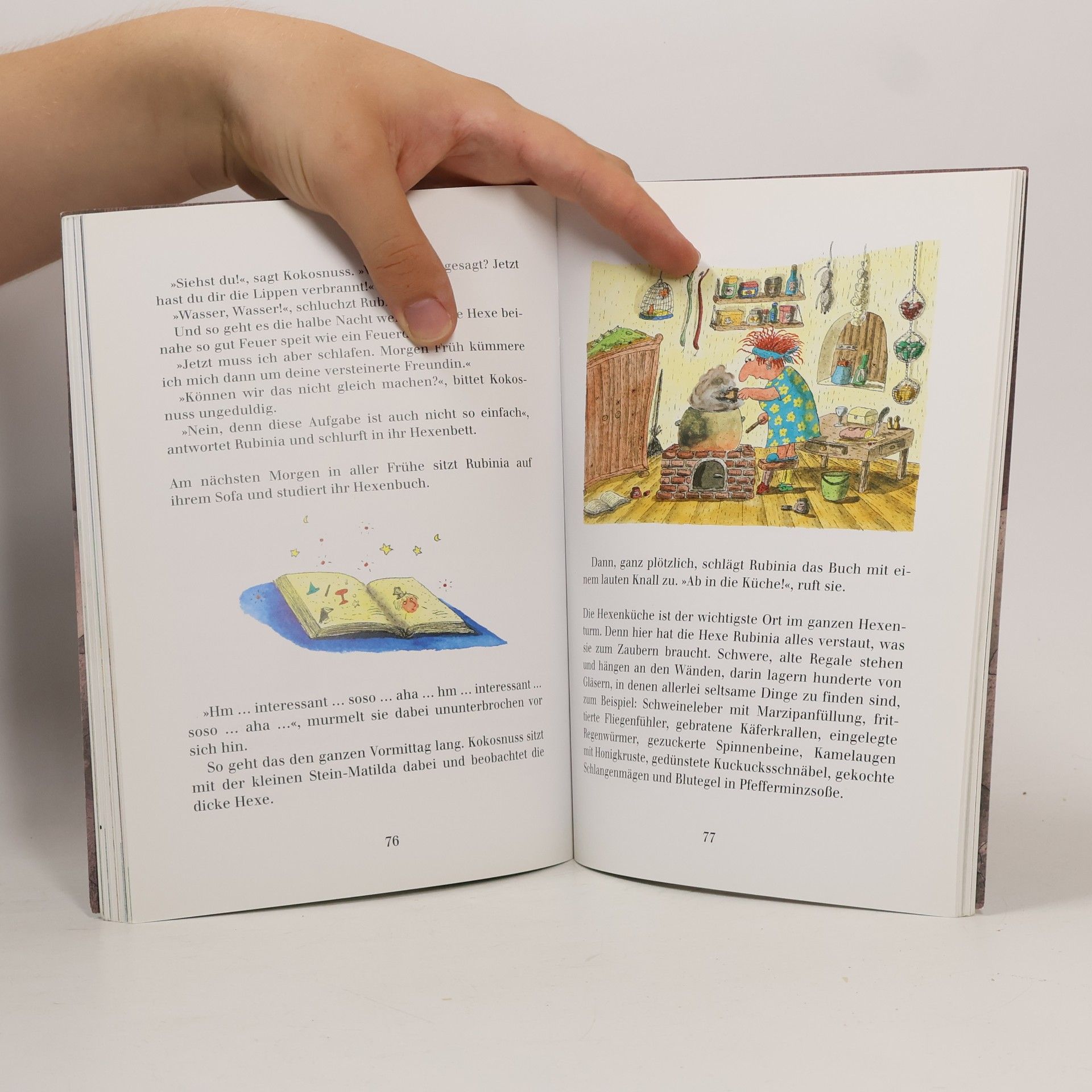 Ingo Seigner Der kleine Drache Kokosnuss - ein Vorlese-Bilderbuch
