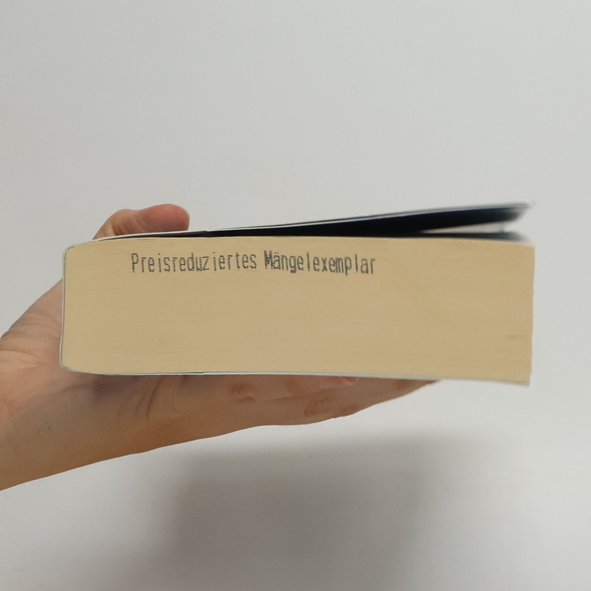 Peter Prange Der Traumpalast