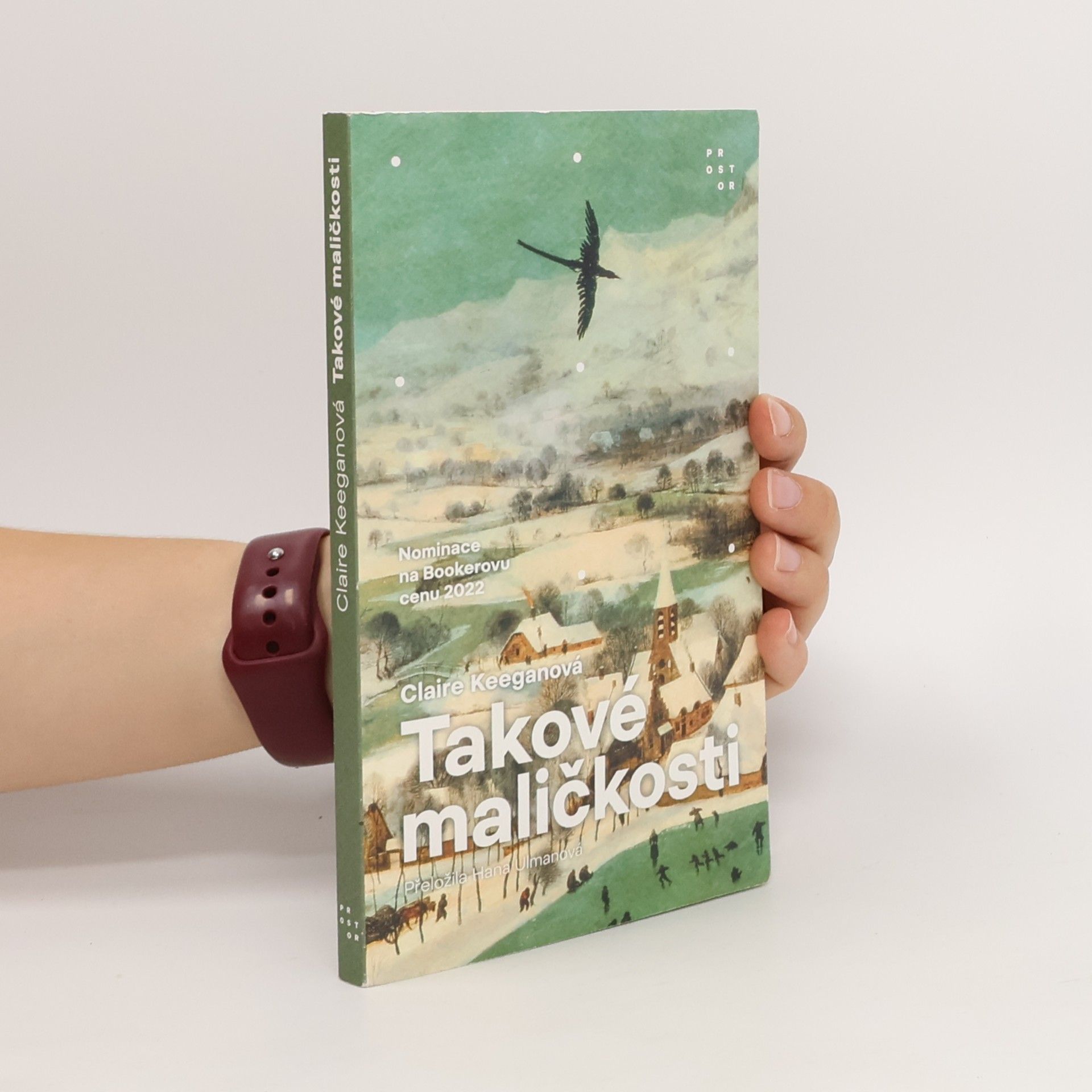 Claire Keegan Takové maličkosti