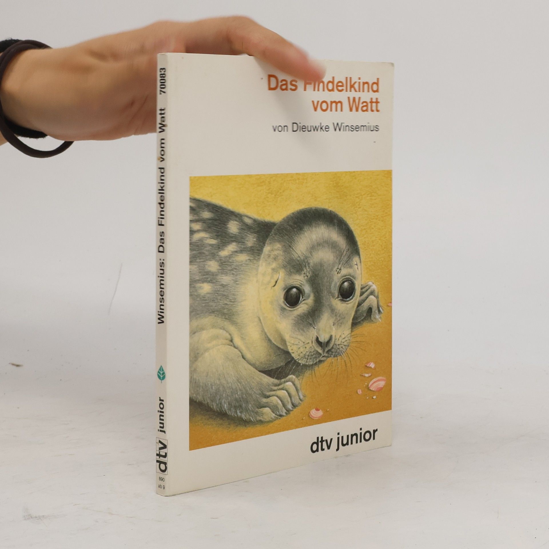 Dieuwke Winsemius Das Findelkind vom Watt