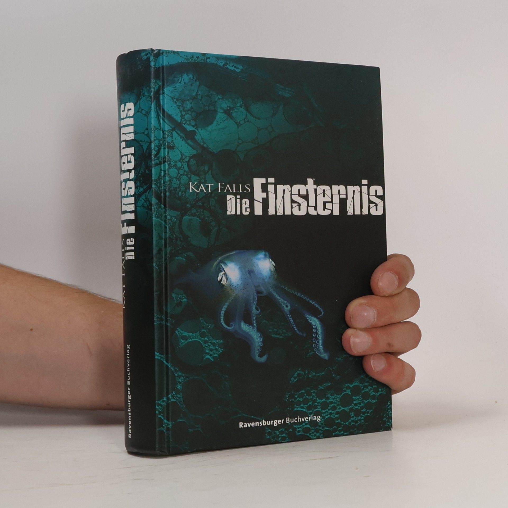 Kat Falls Die Finsternis