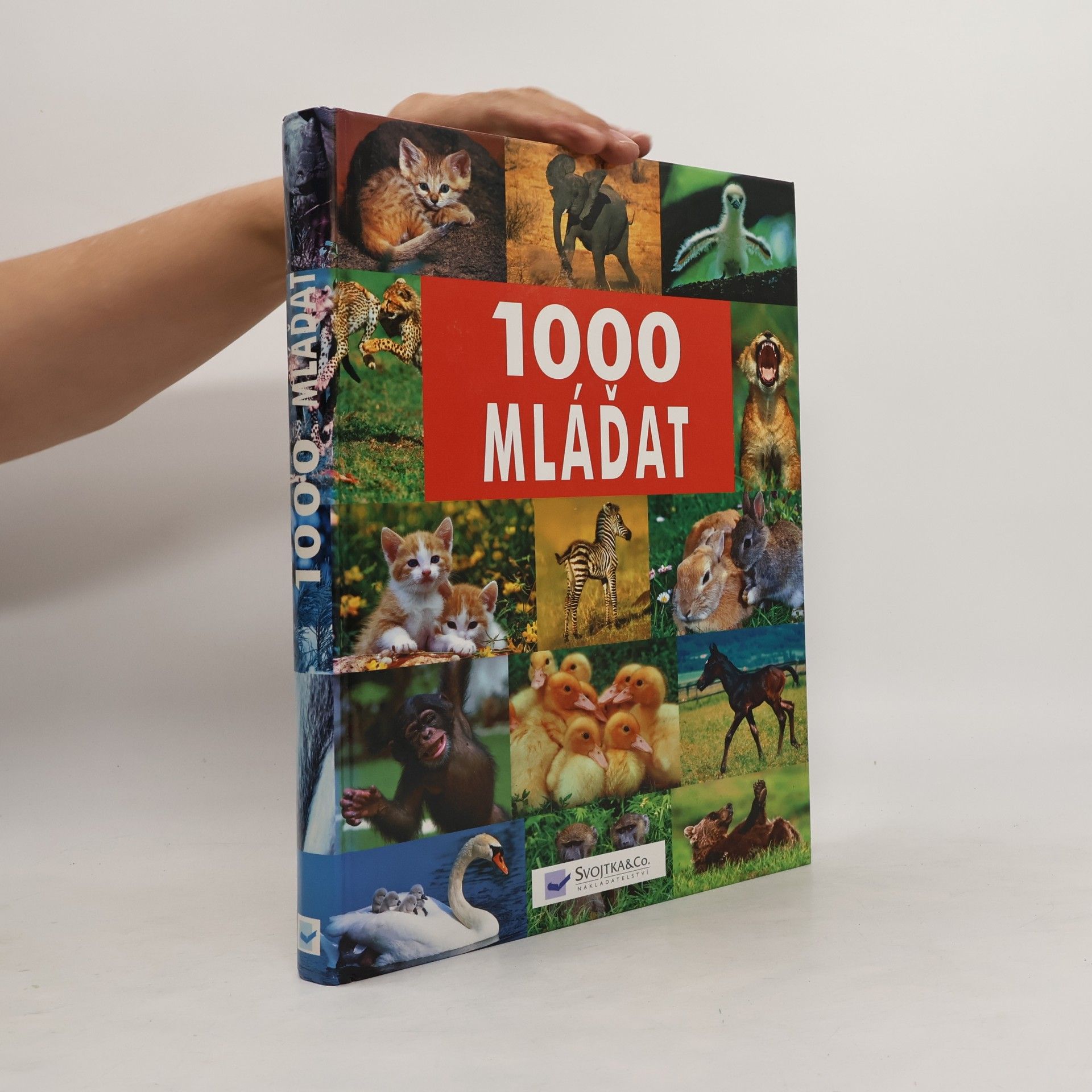 Autorenkollektiv 1000 mláďat