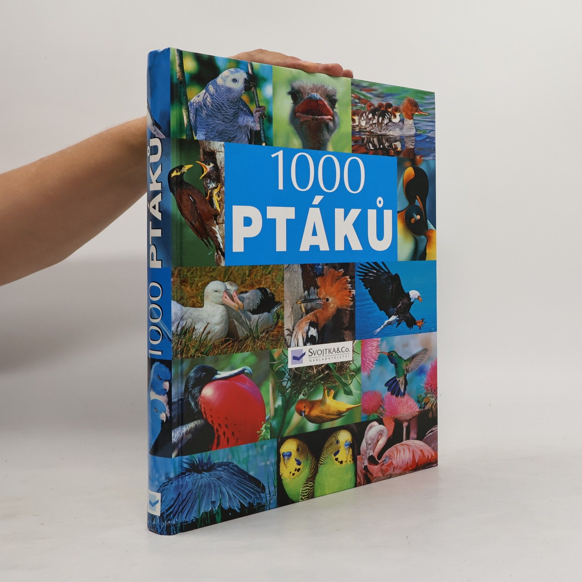 Autorenkollektiv 1000 ptáků
