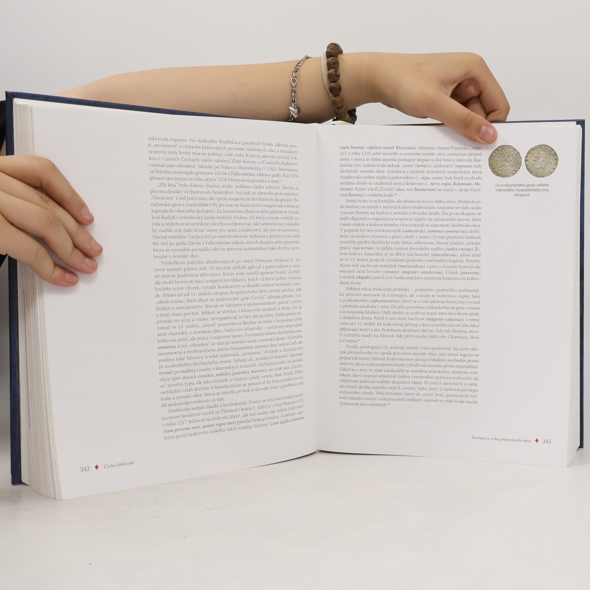 Various authors Přemyslovci. Budování českého státu