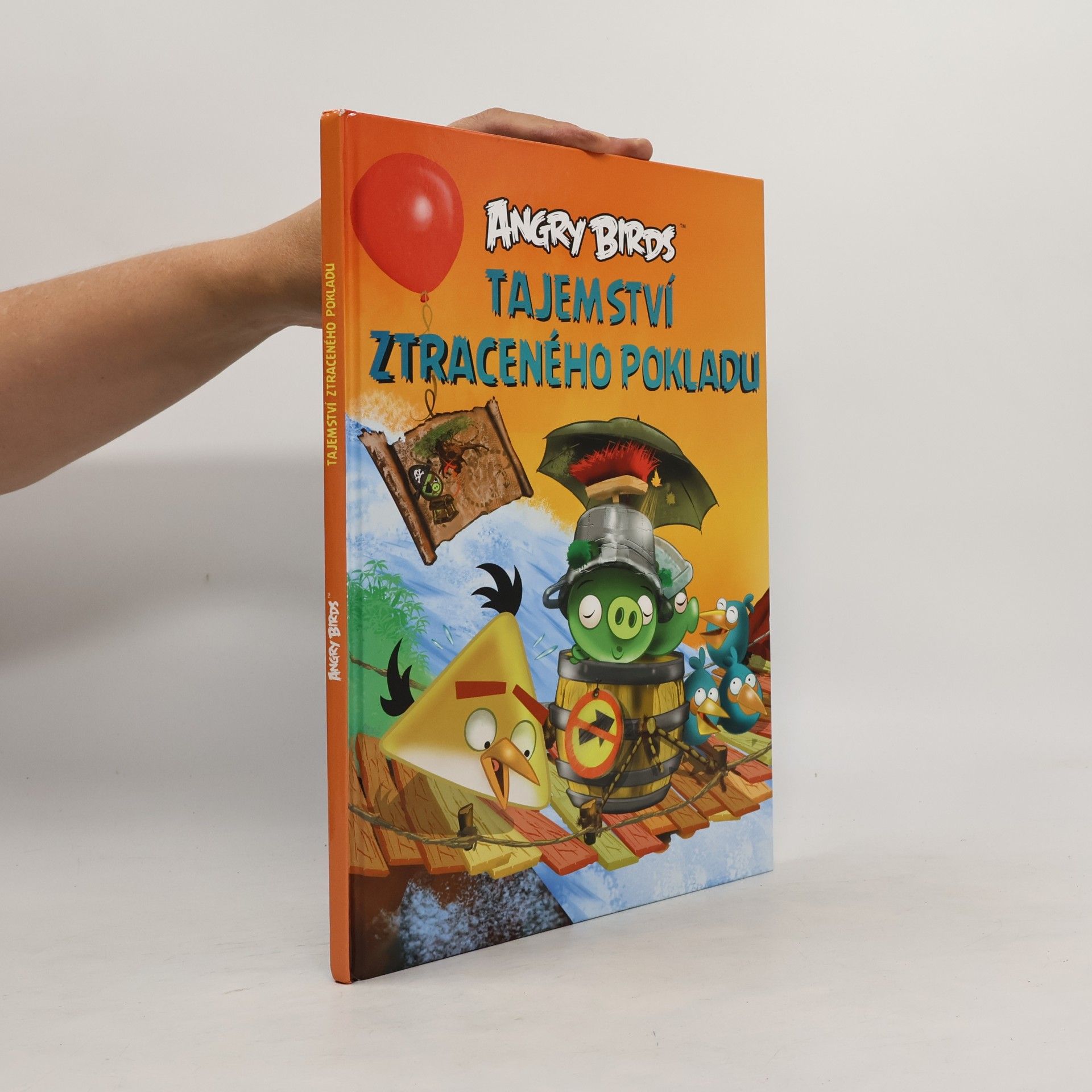 Jari Rasi Angry Birds. Tajemství ztraceného pokladu