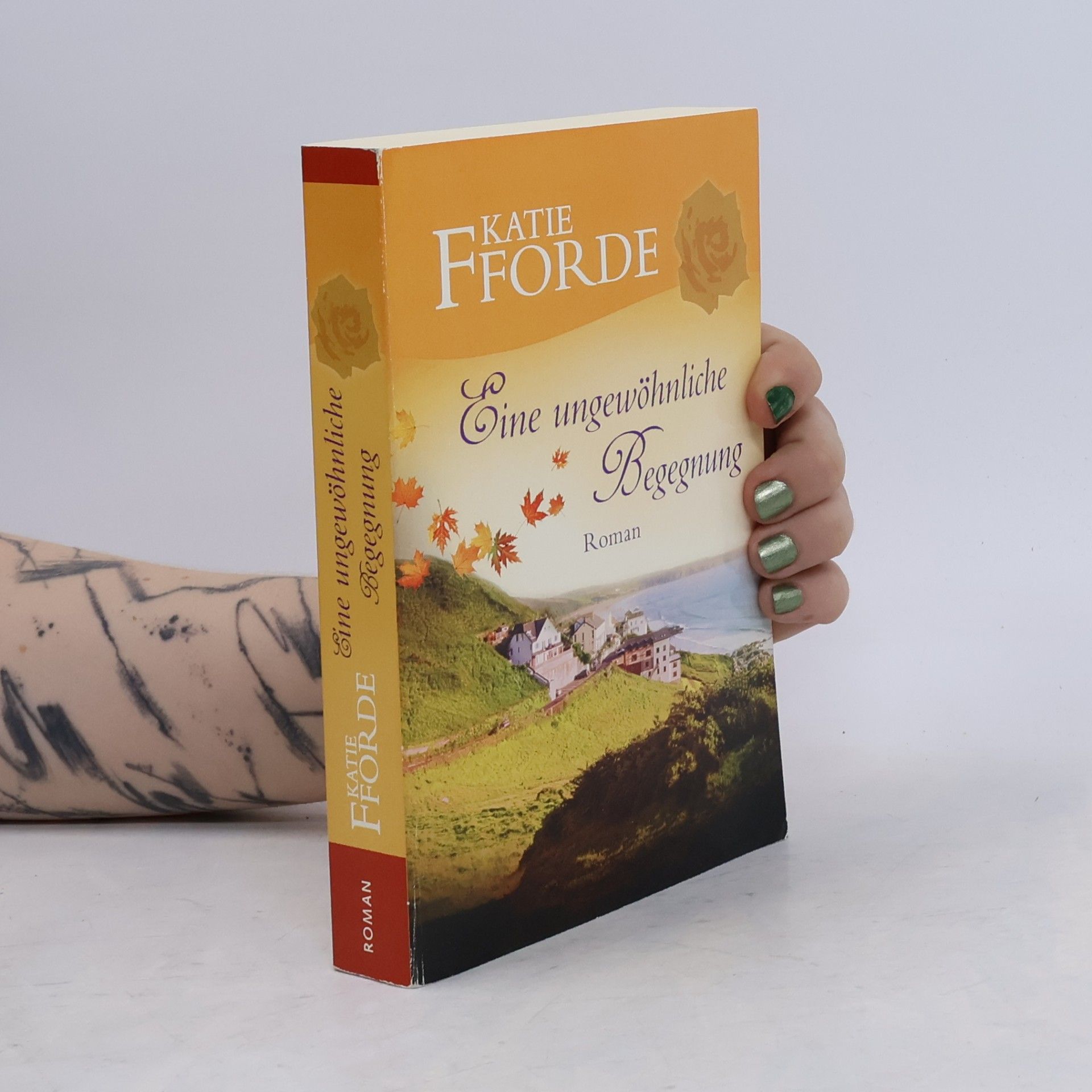 Katie Fforde Eine ungewöhnliche Begegnung