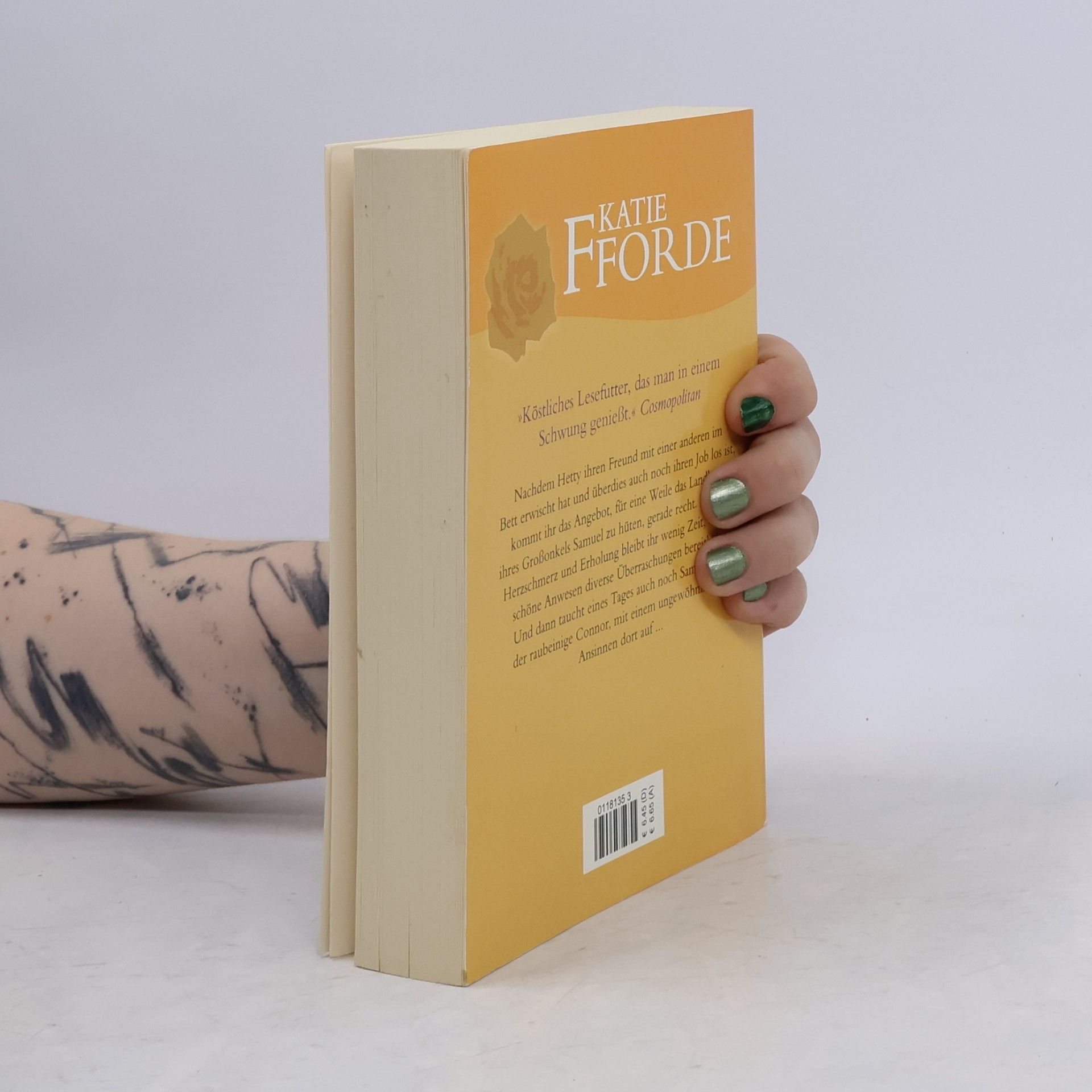 Katie Fforde Eine ungewöhnliche Begegnung