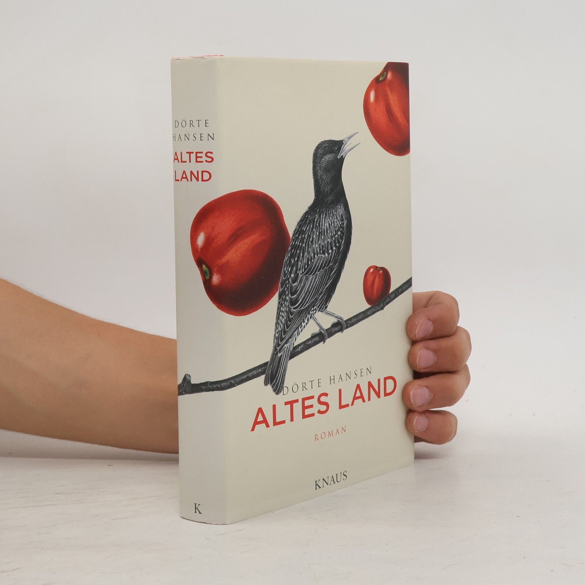 Dörte Hansen Altes Land