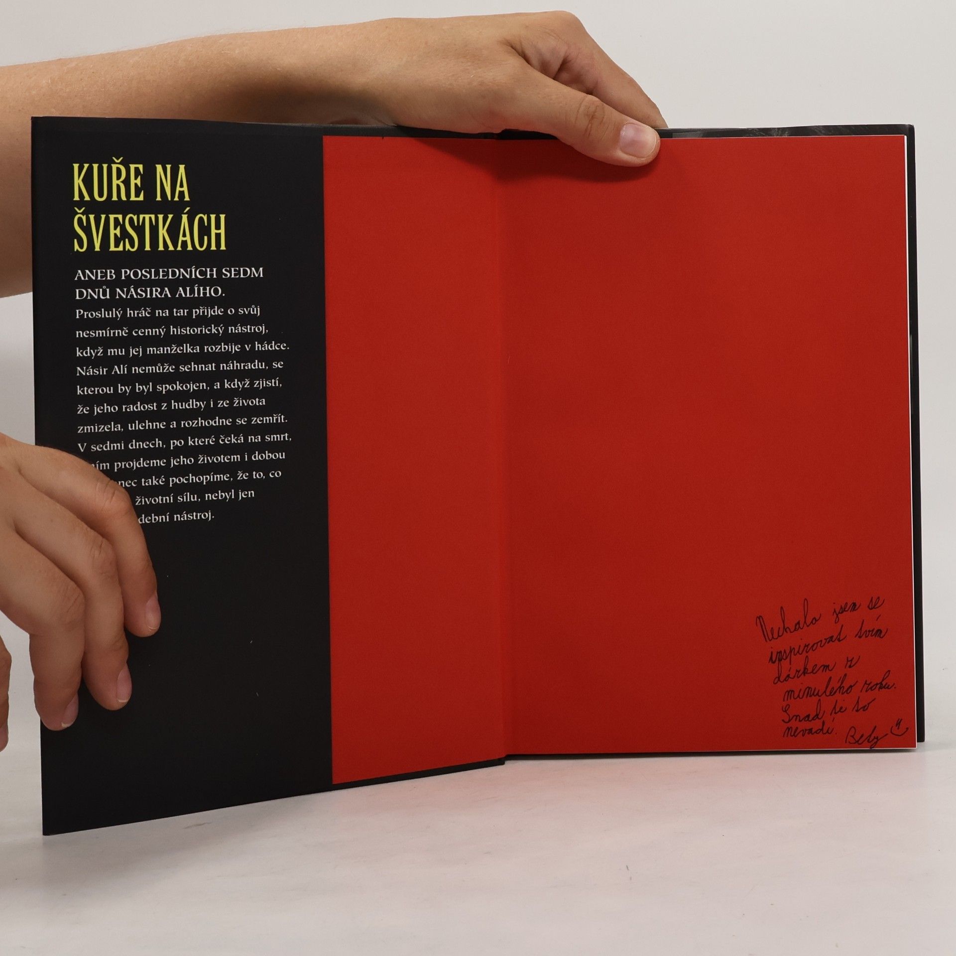Marjane Satrapi Kuře na švestkách