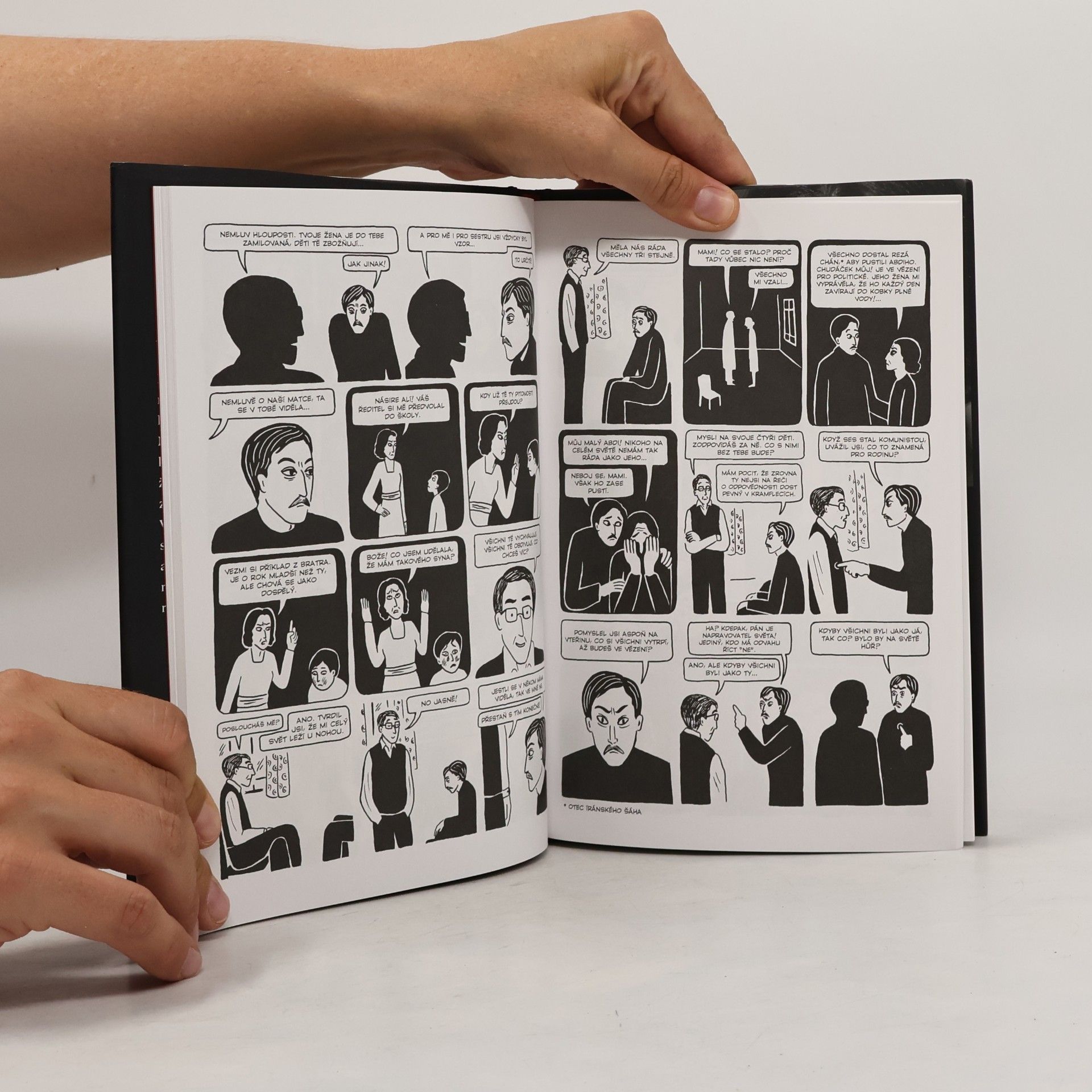 Marjane Satrapi Kuře na švestkách
