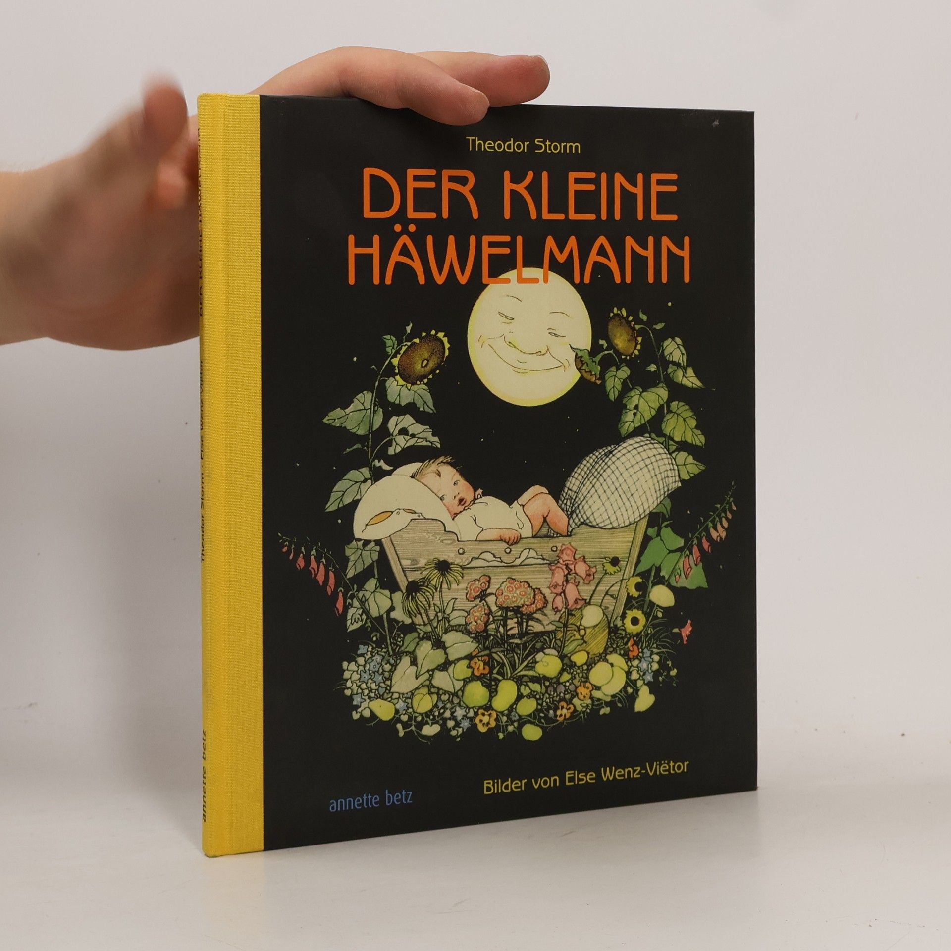 Theodor Storm Der kleine Häwelmann