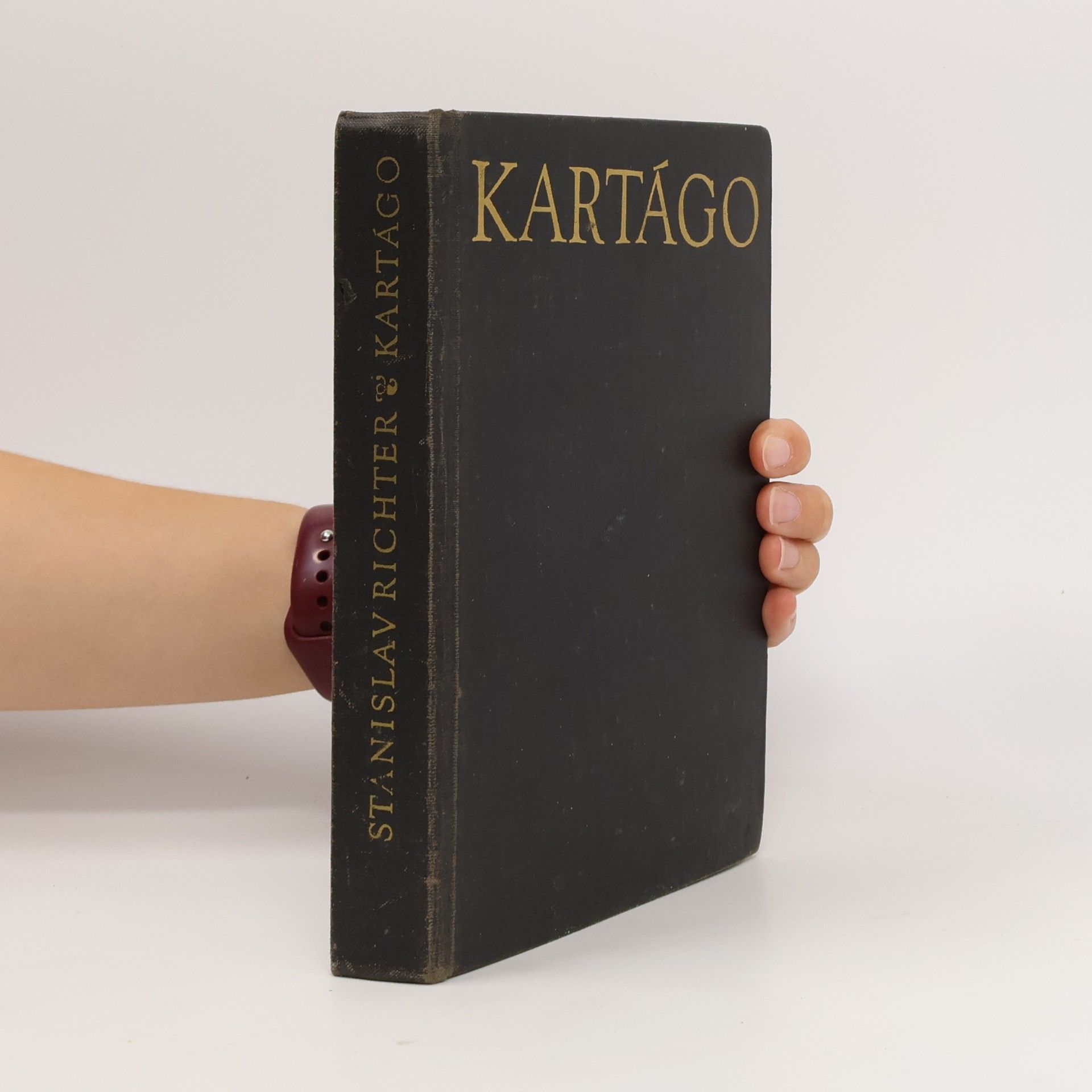 Stanislav Richter Kartágo. Po stopách Punů, Římanů a Vandalů